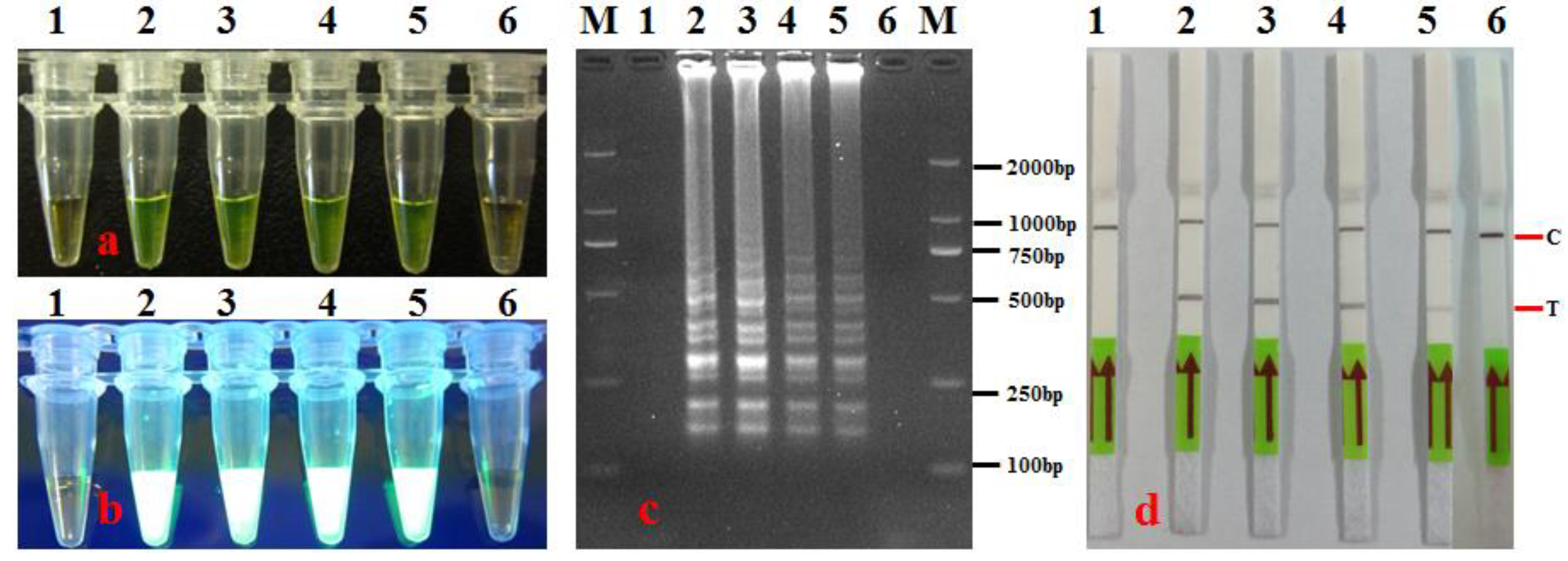 Agronomy 14 01804 g003 Agronomy 14 01804 g003