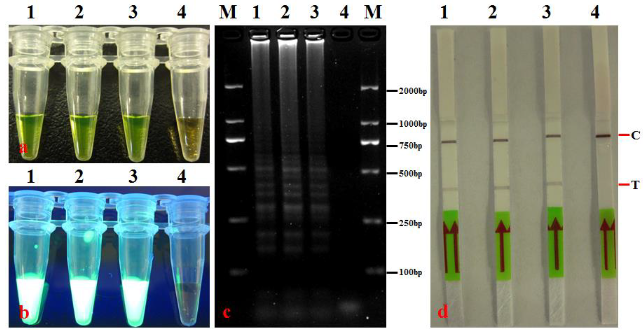 Agronomy 14 01804 g004 Agronomy 14 01804 g004