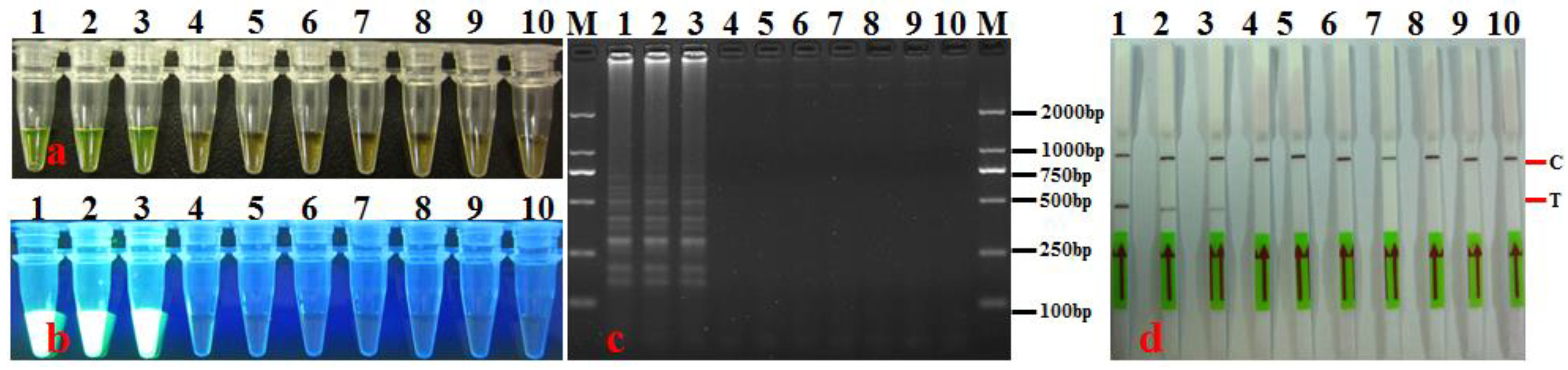 Agronomy 14 01804 g005 Agronomy 14 01804 g005