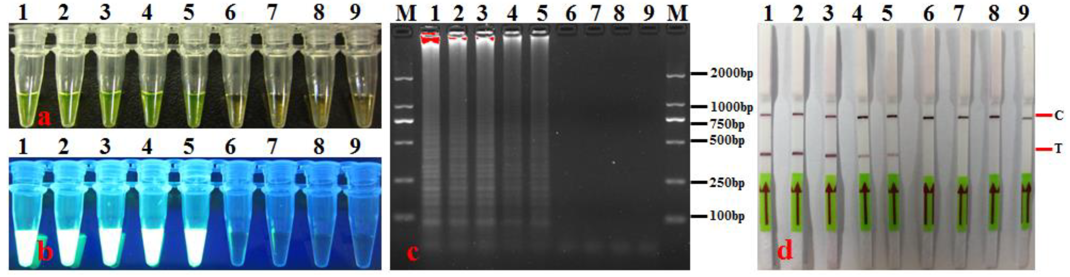 Agronomy 14 01804 g006 Agronomy 14 01804 g006