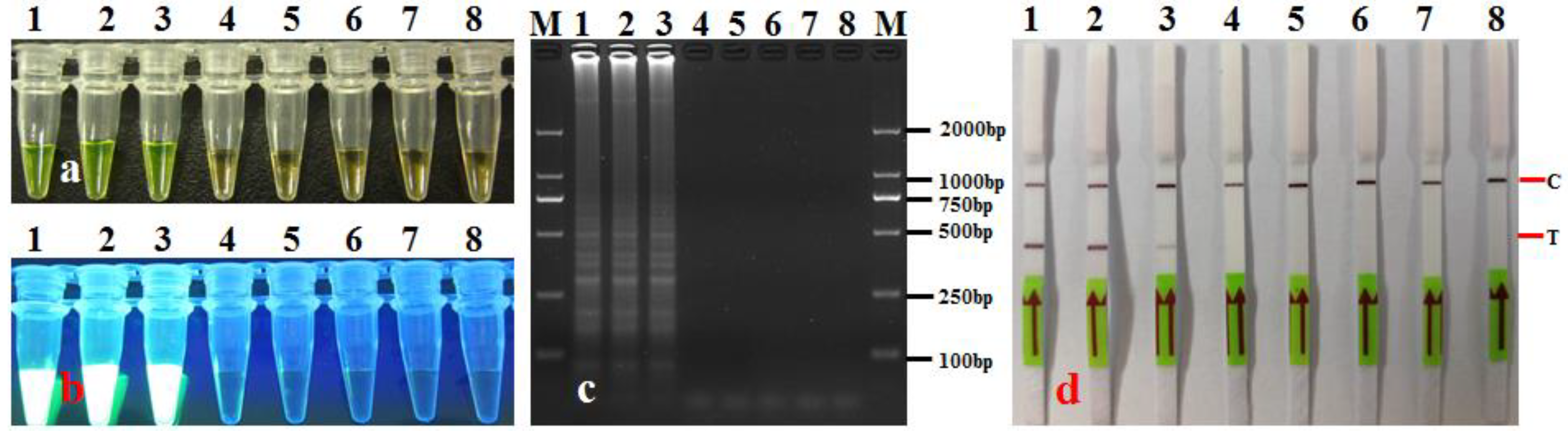 Agronomy 14 01804 g008 Agronomy 14 01804 g008