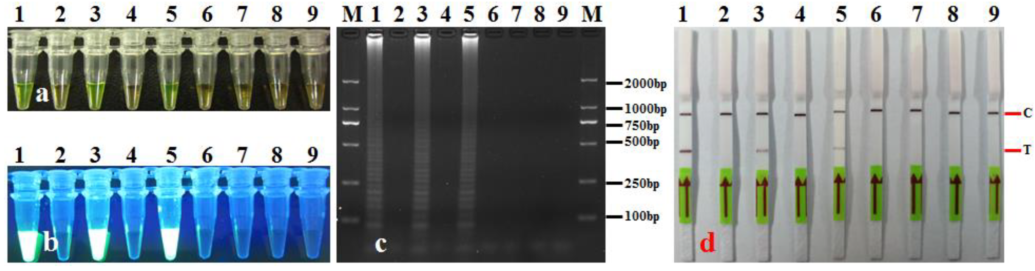 Agronomy 14 01804 g009 Agronomy 14 01804 g009