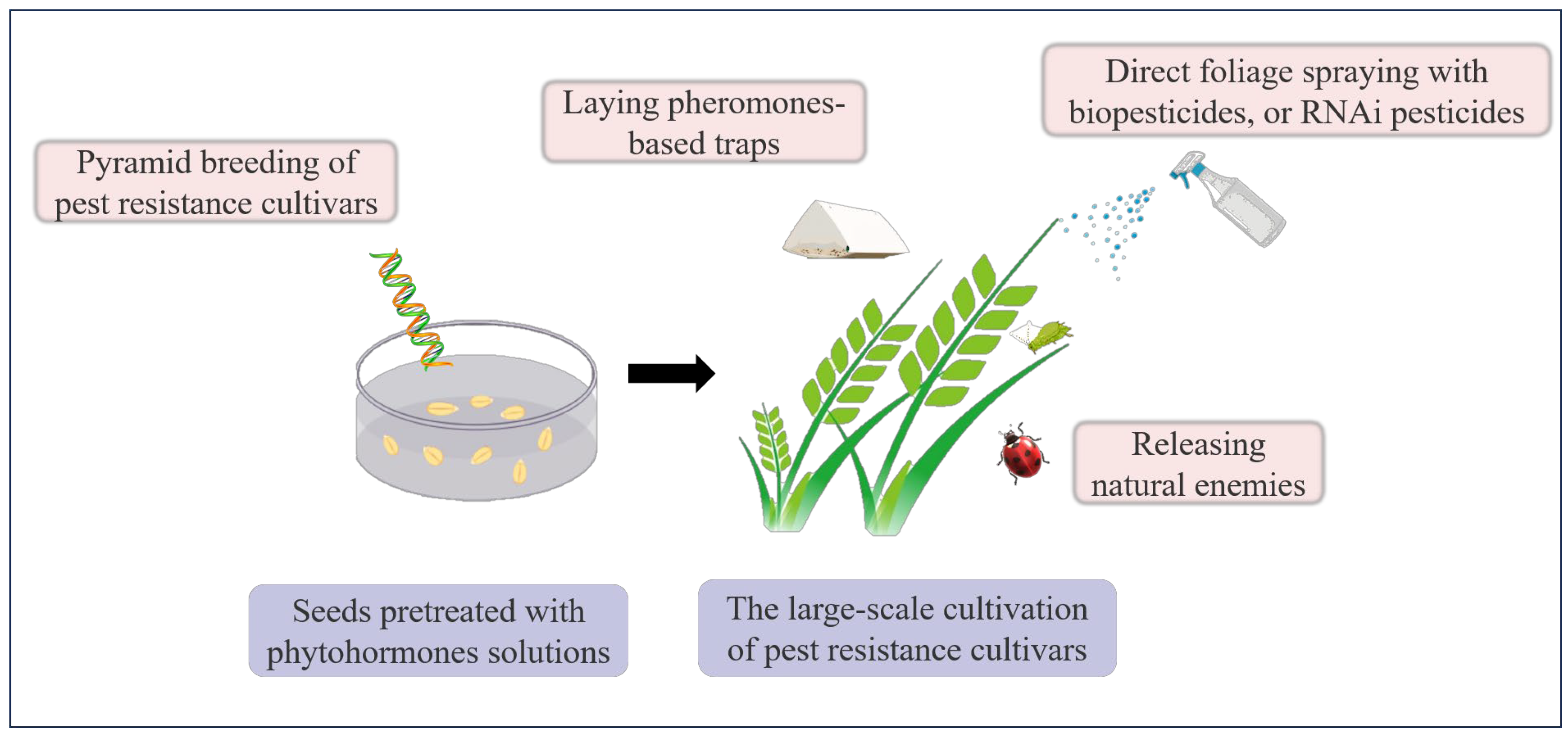 Agronomy 14 01807 g002 Agronomy 14 01807 g002
