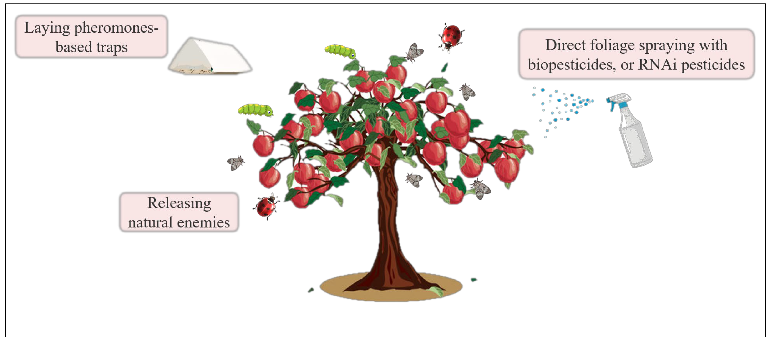 Agronomy 14 01807 g003 Agronomy 14 01807 g003