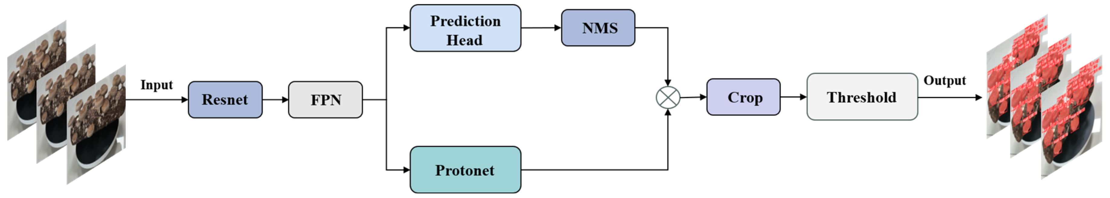 Agronomy 14 01808 g002