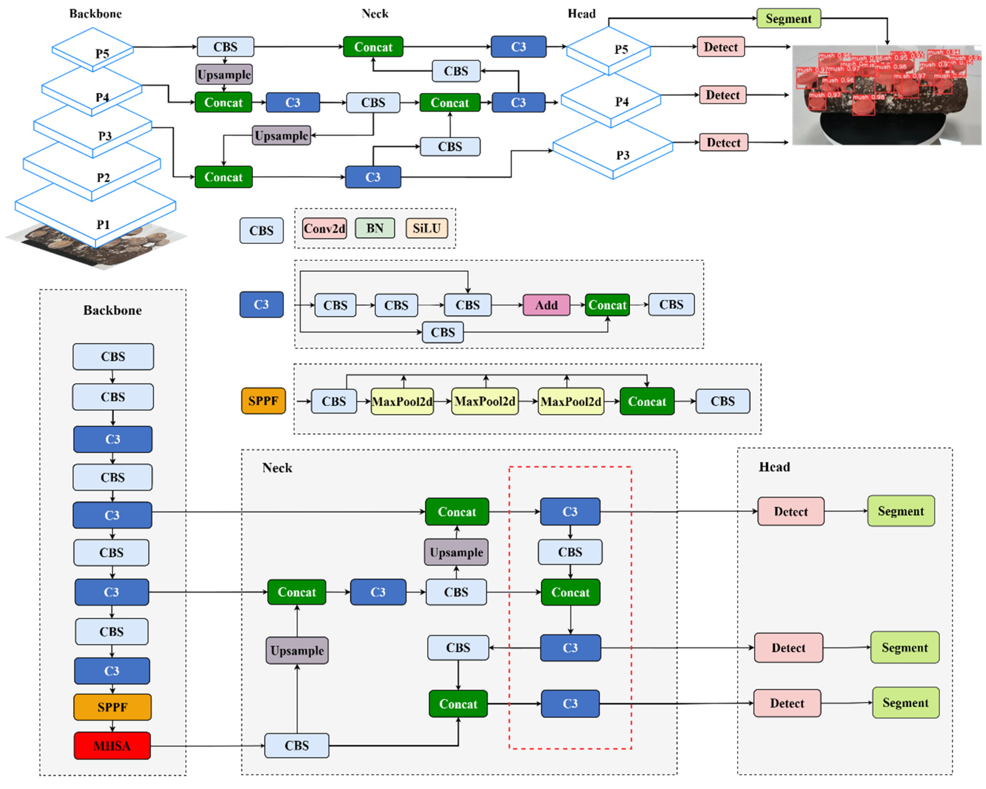 Agronomy 14 01808 g005