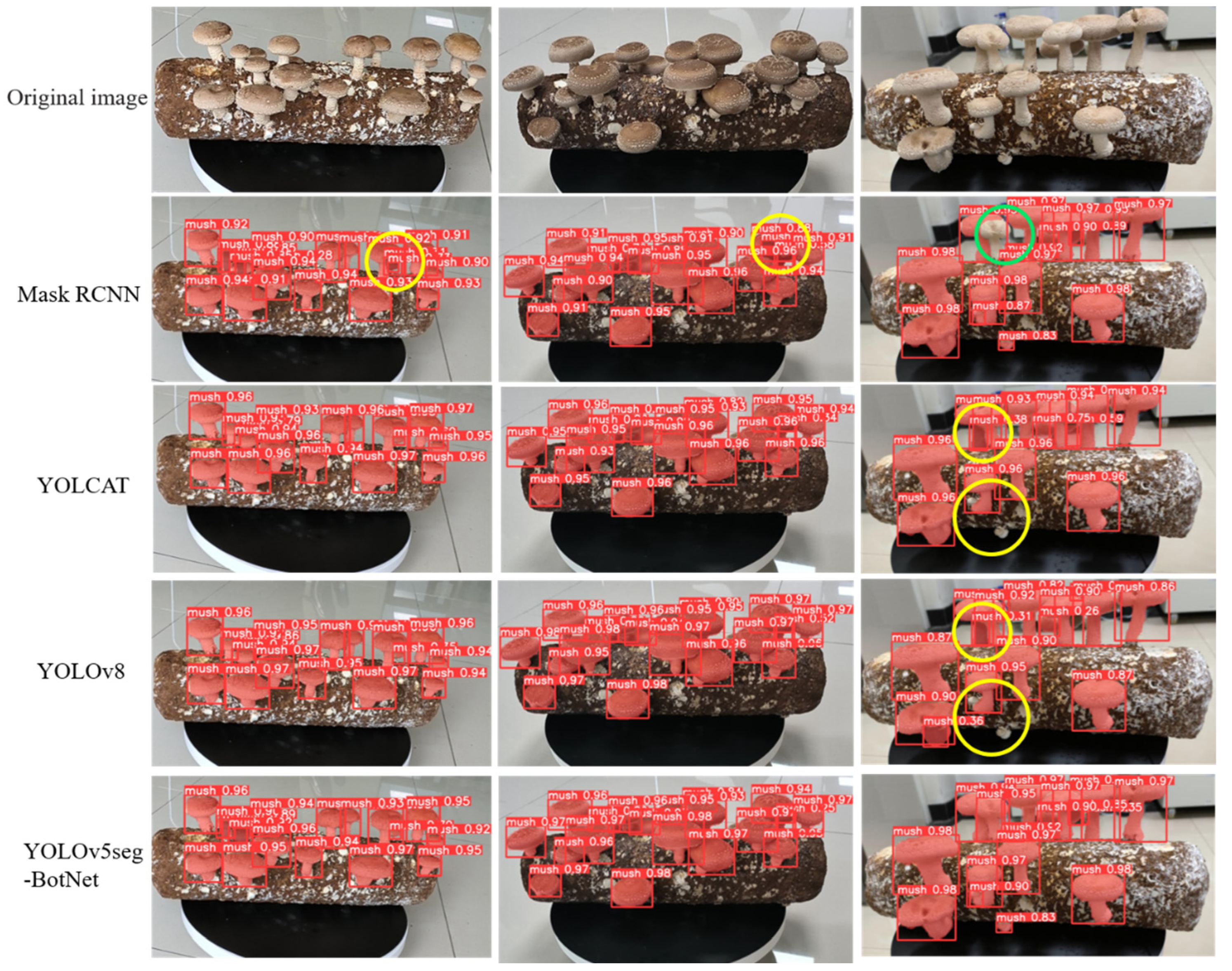 Agronomy 14 01808 g008