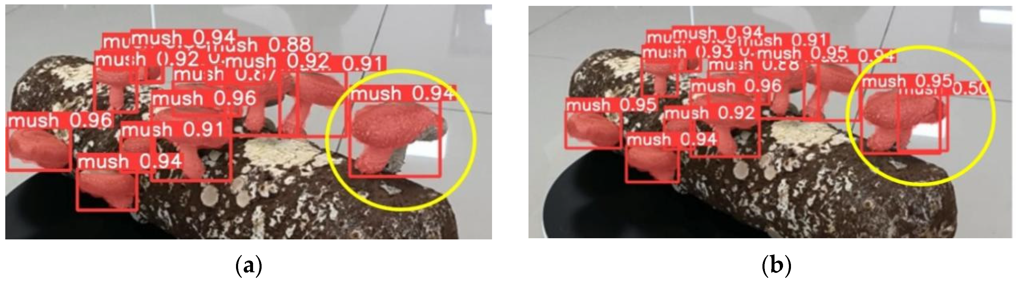 Agronomy 14 01808 g011
