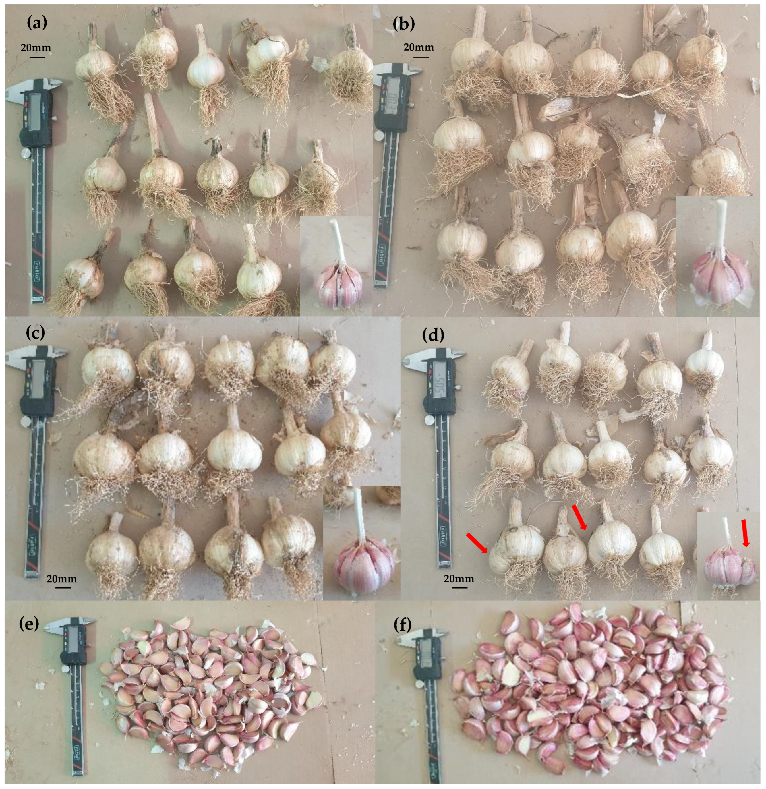 Agronomy 14 01812 g005