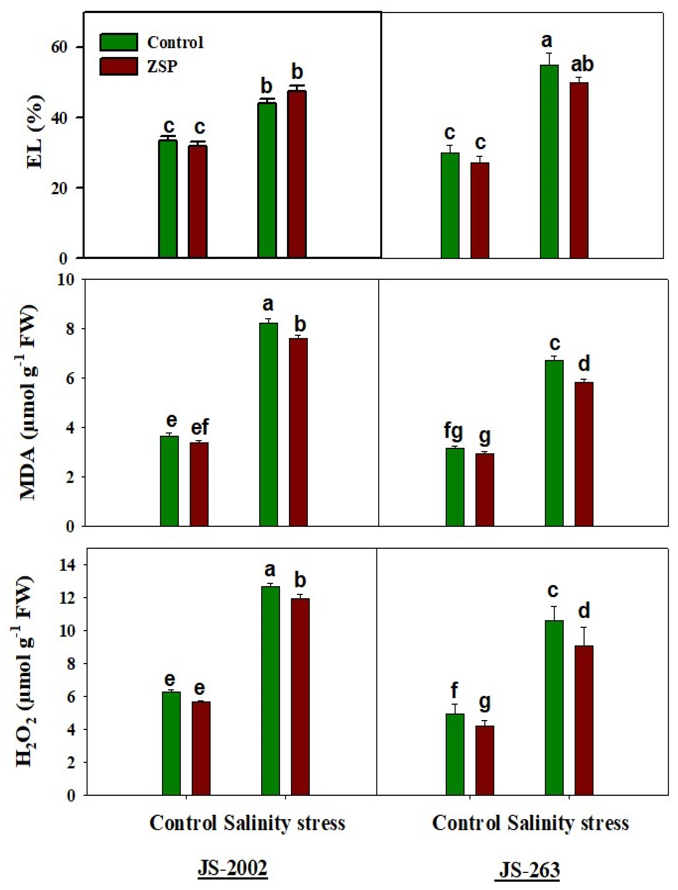 Agronomy 14 01815 g002