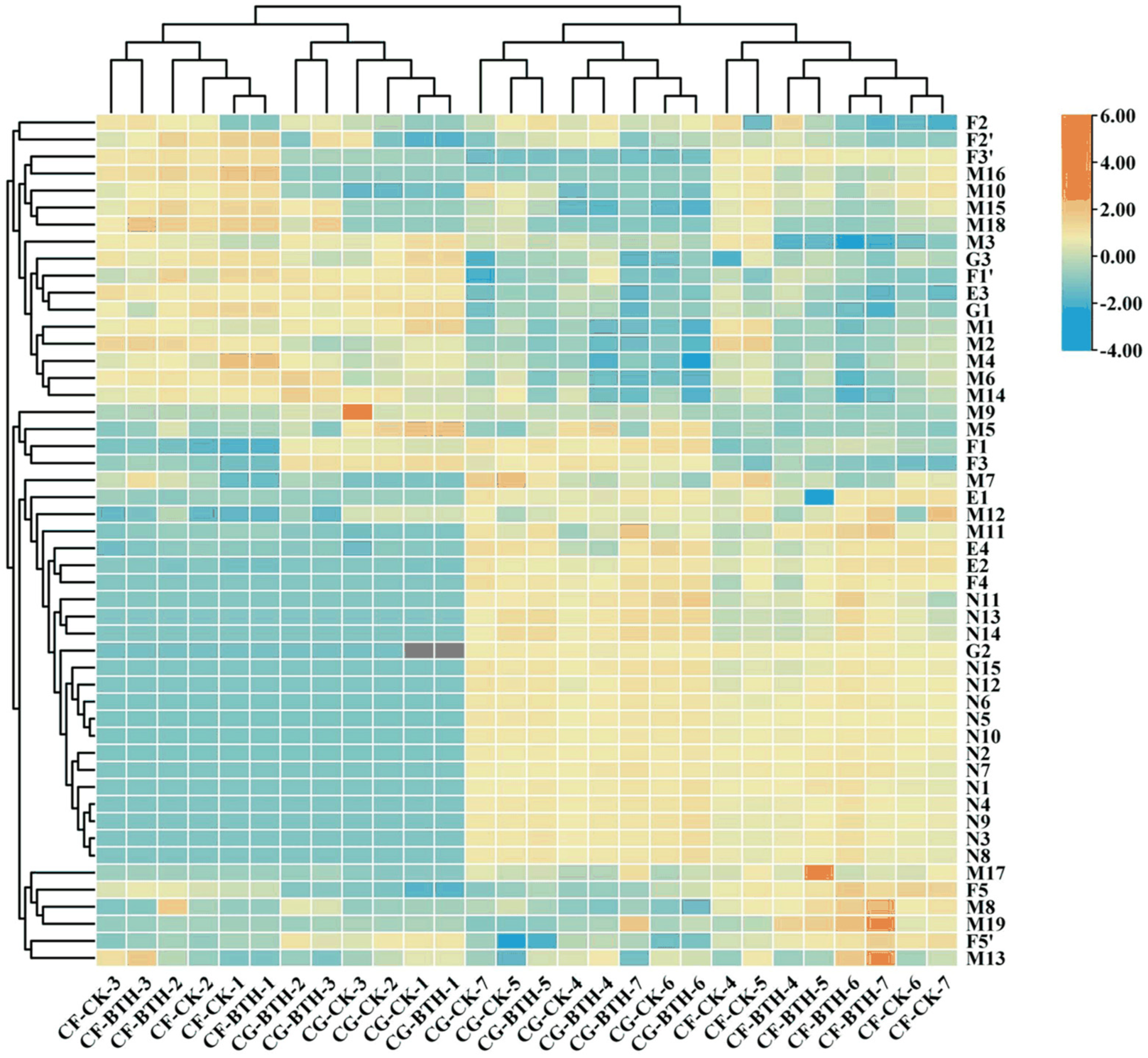 Agronomy 14 01818 g007