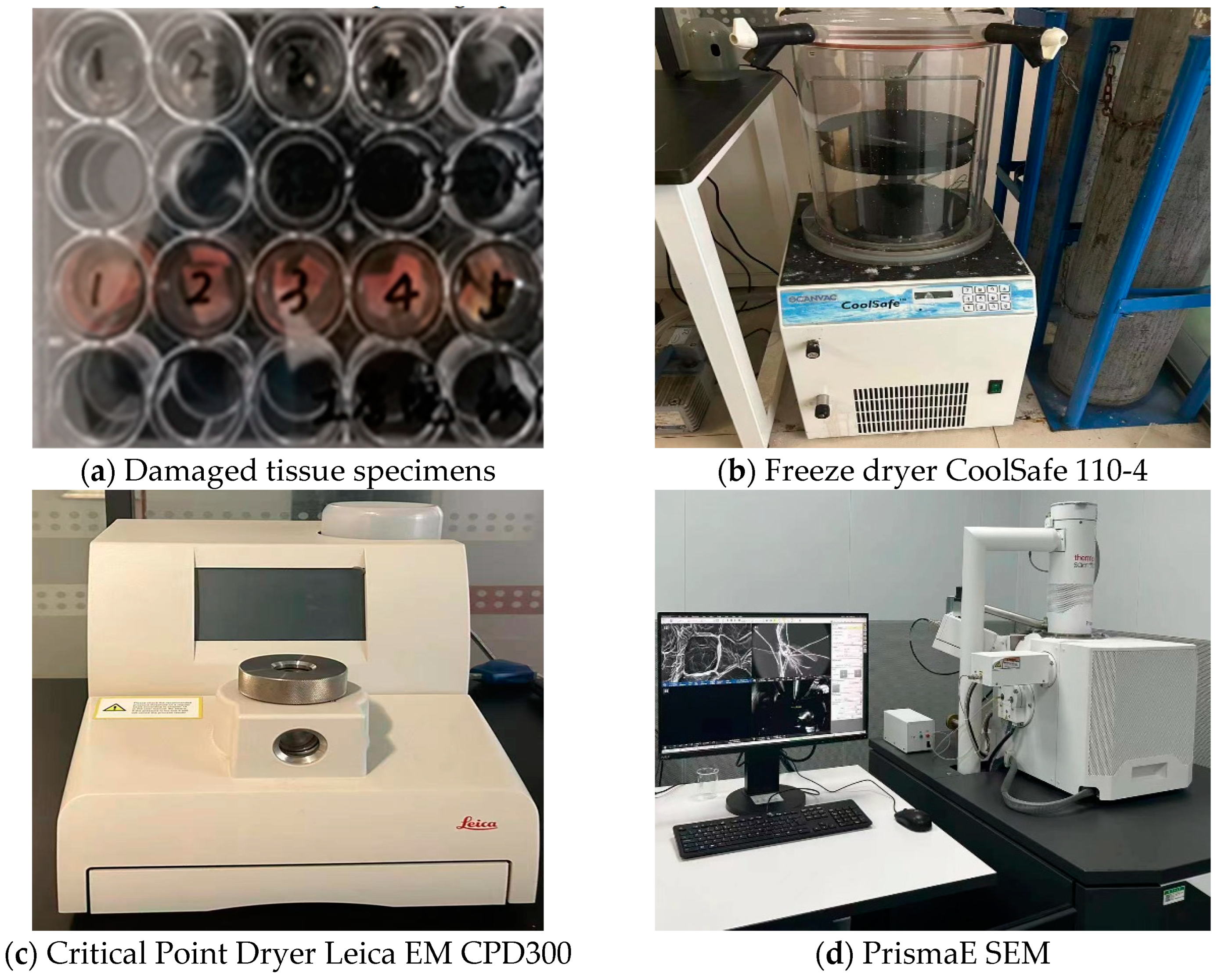 Agronomy 14 01822 g005