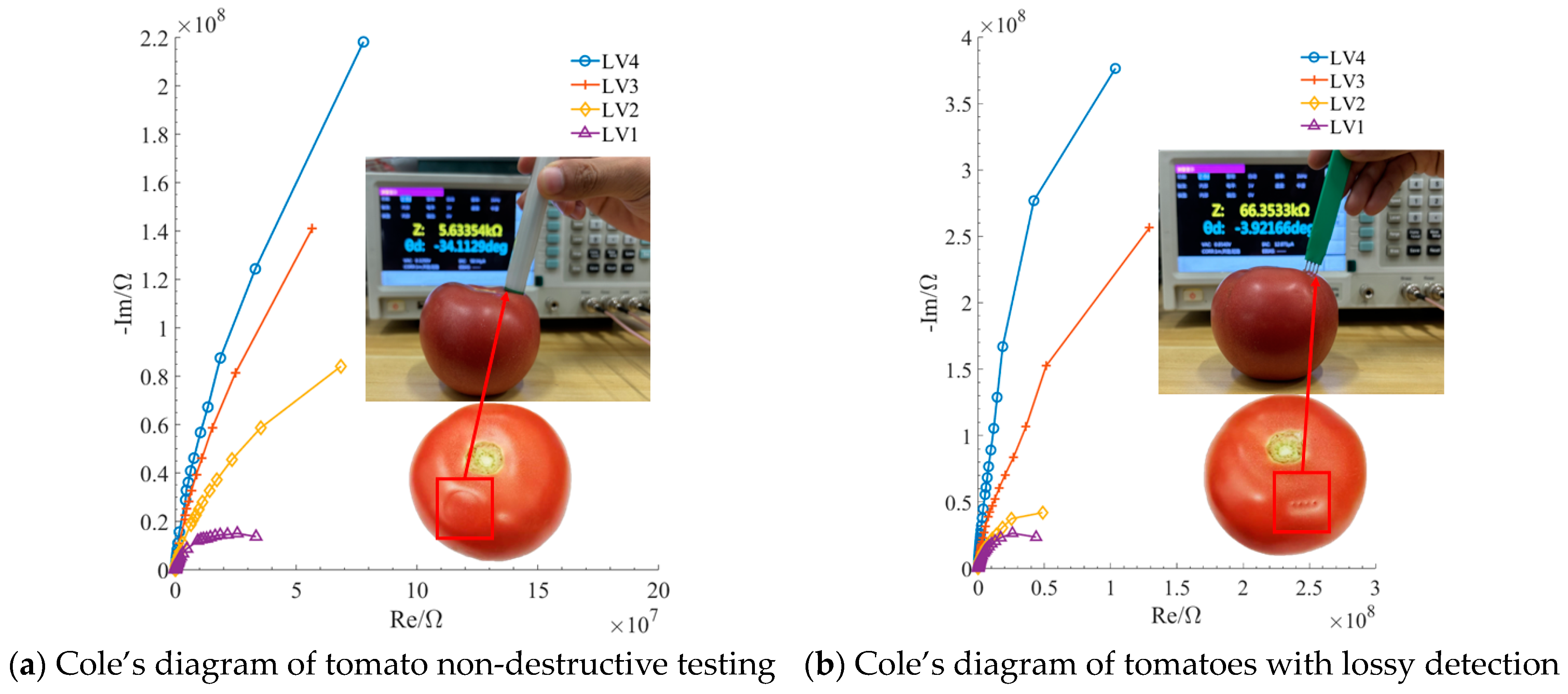 Agronomy 14 01822 g008