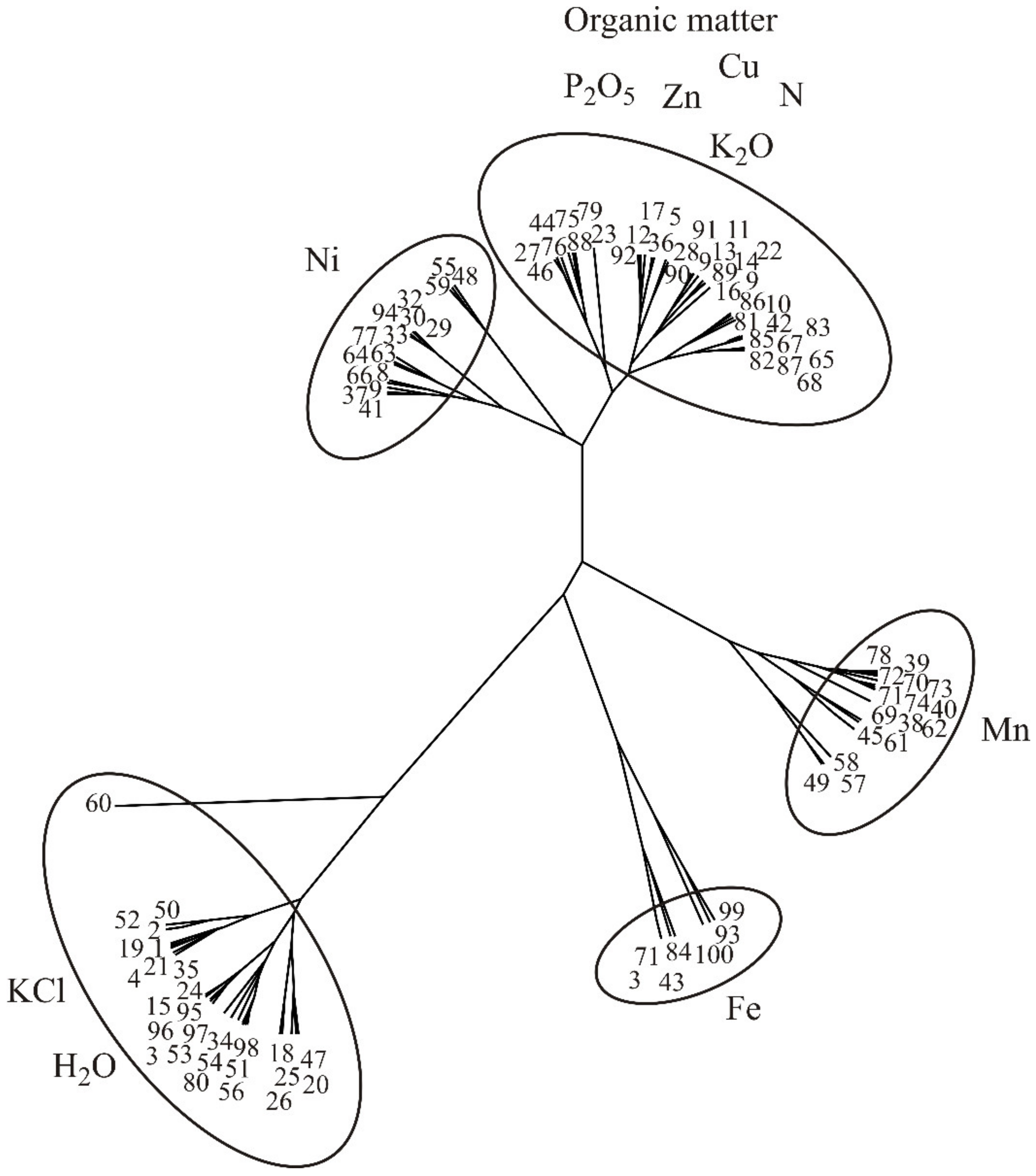 Agronomy 14 01836 g002