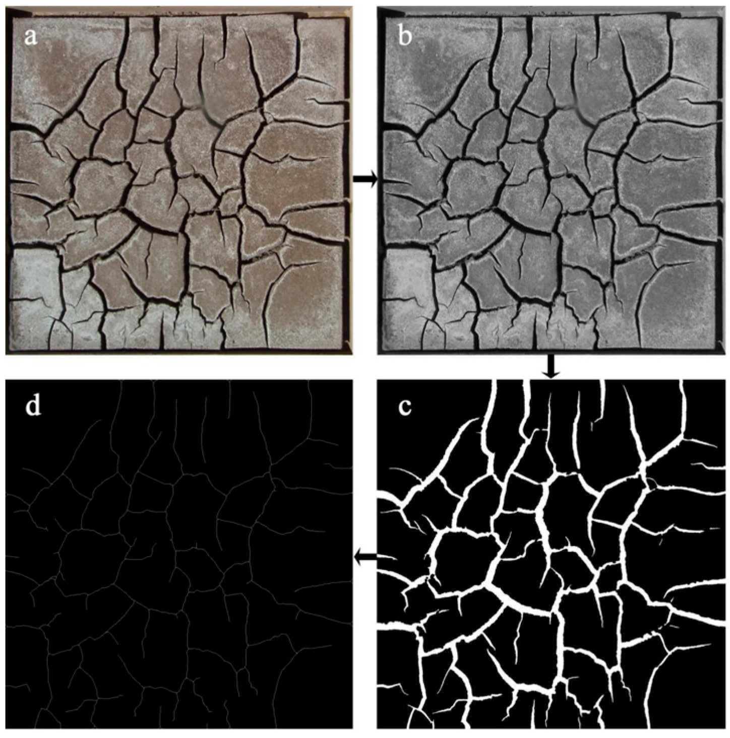 Agronomy 14 01837 g003