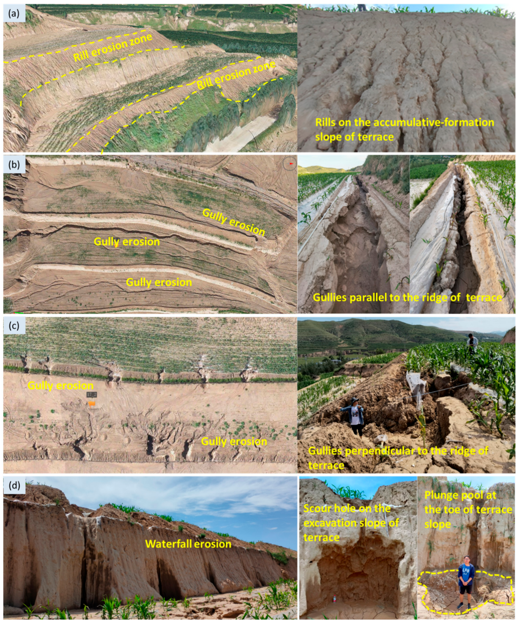 Agronomy 14 01840 g005