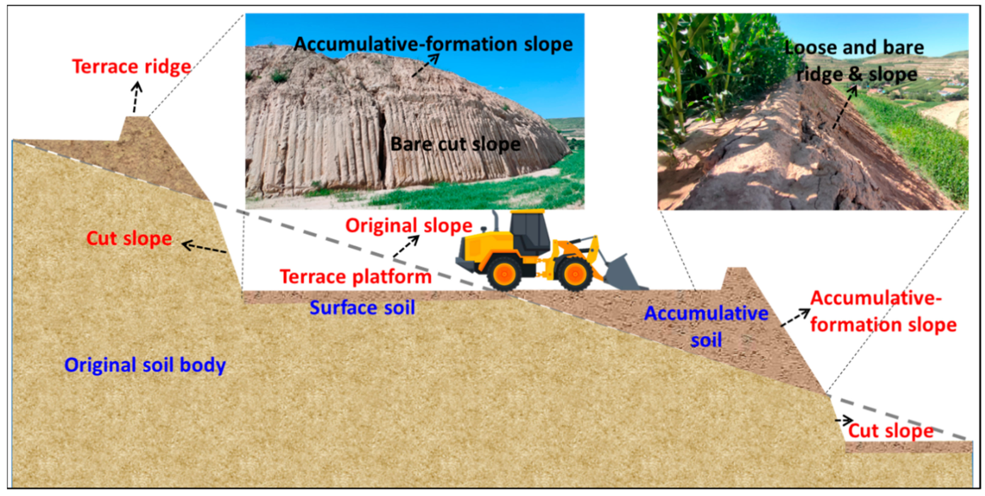 Agronomy 14 01840 g014