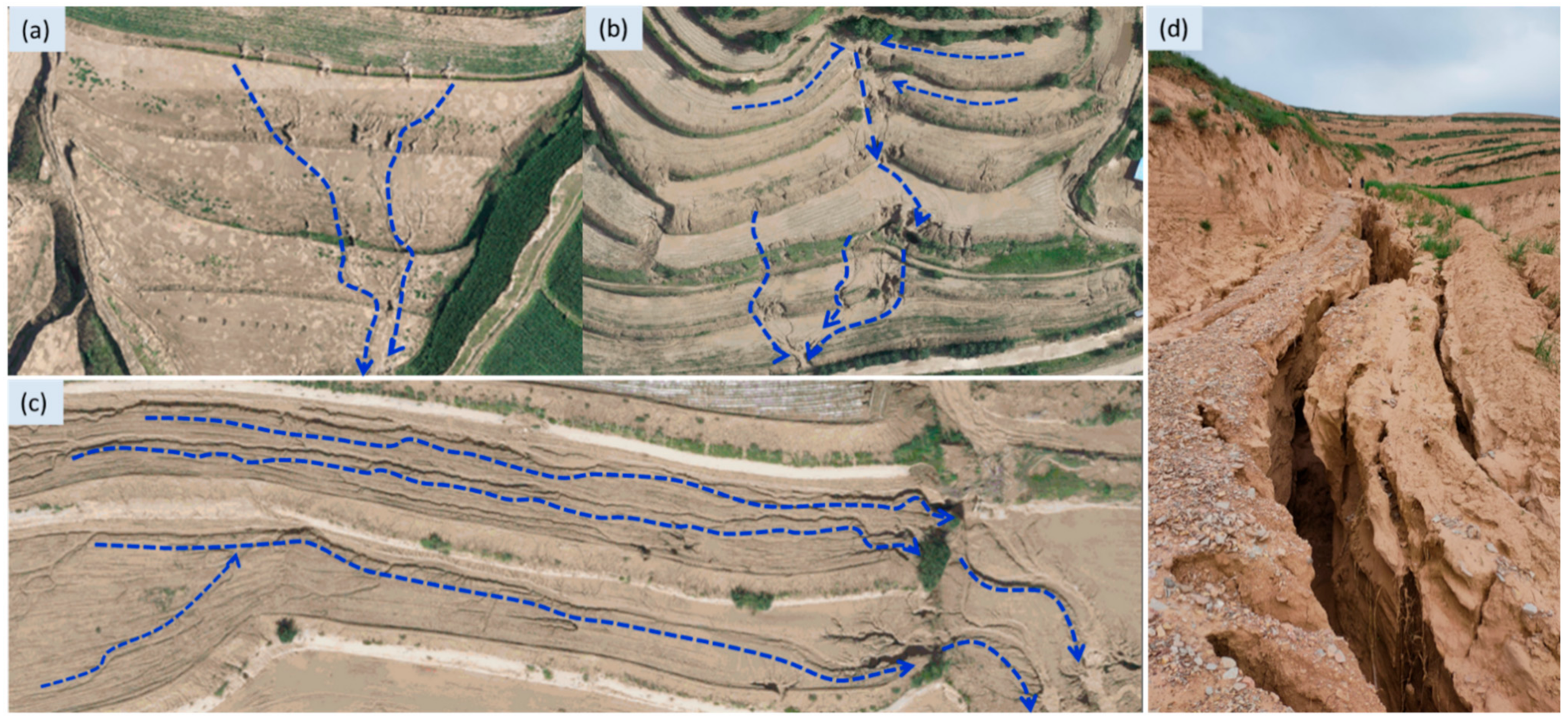 Agronomy 14 01840 g015