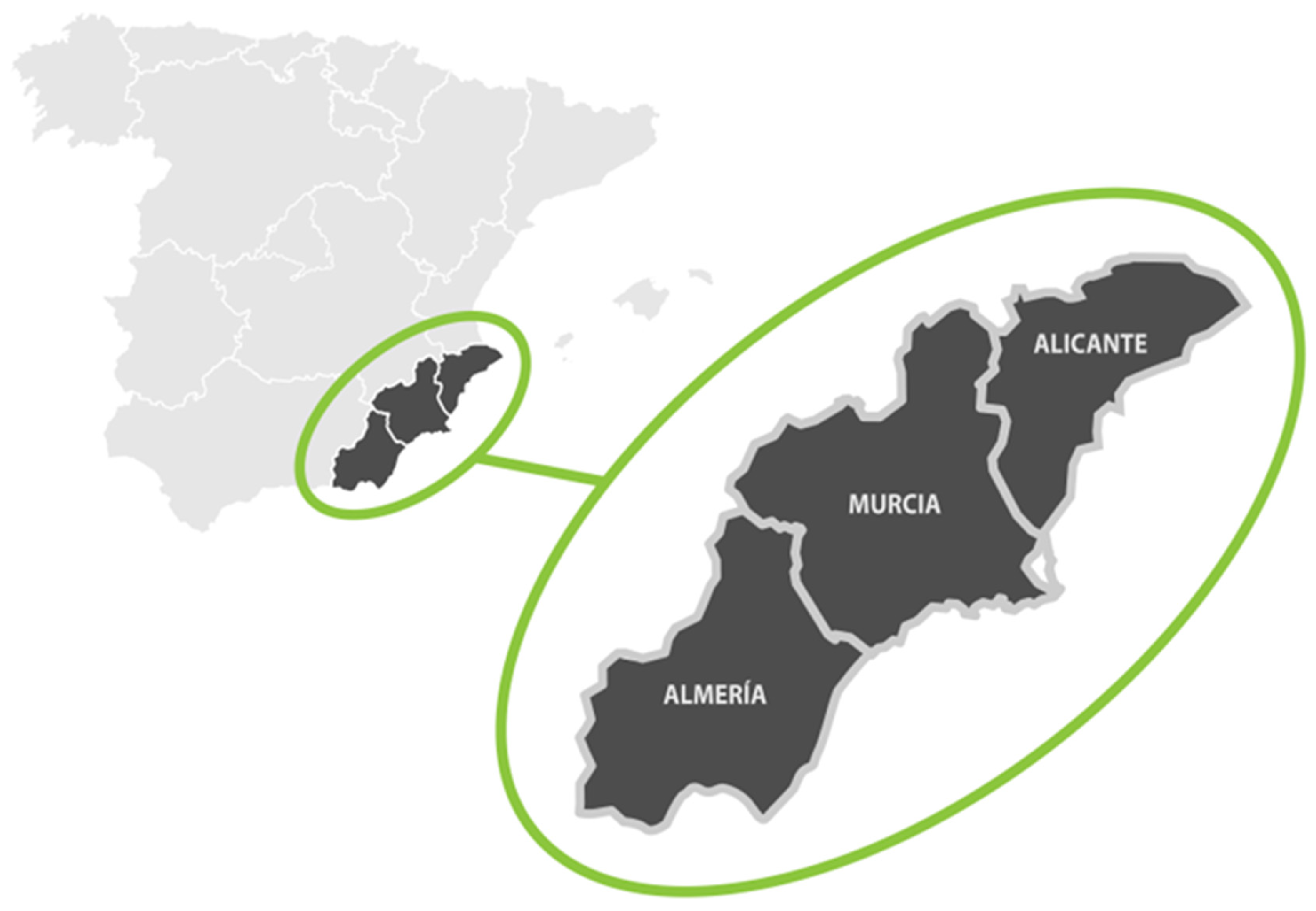 Agronomy 14 01842 g001