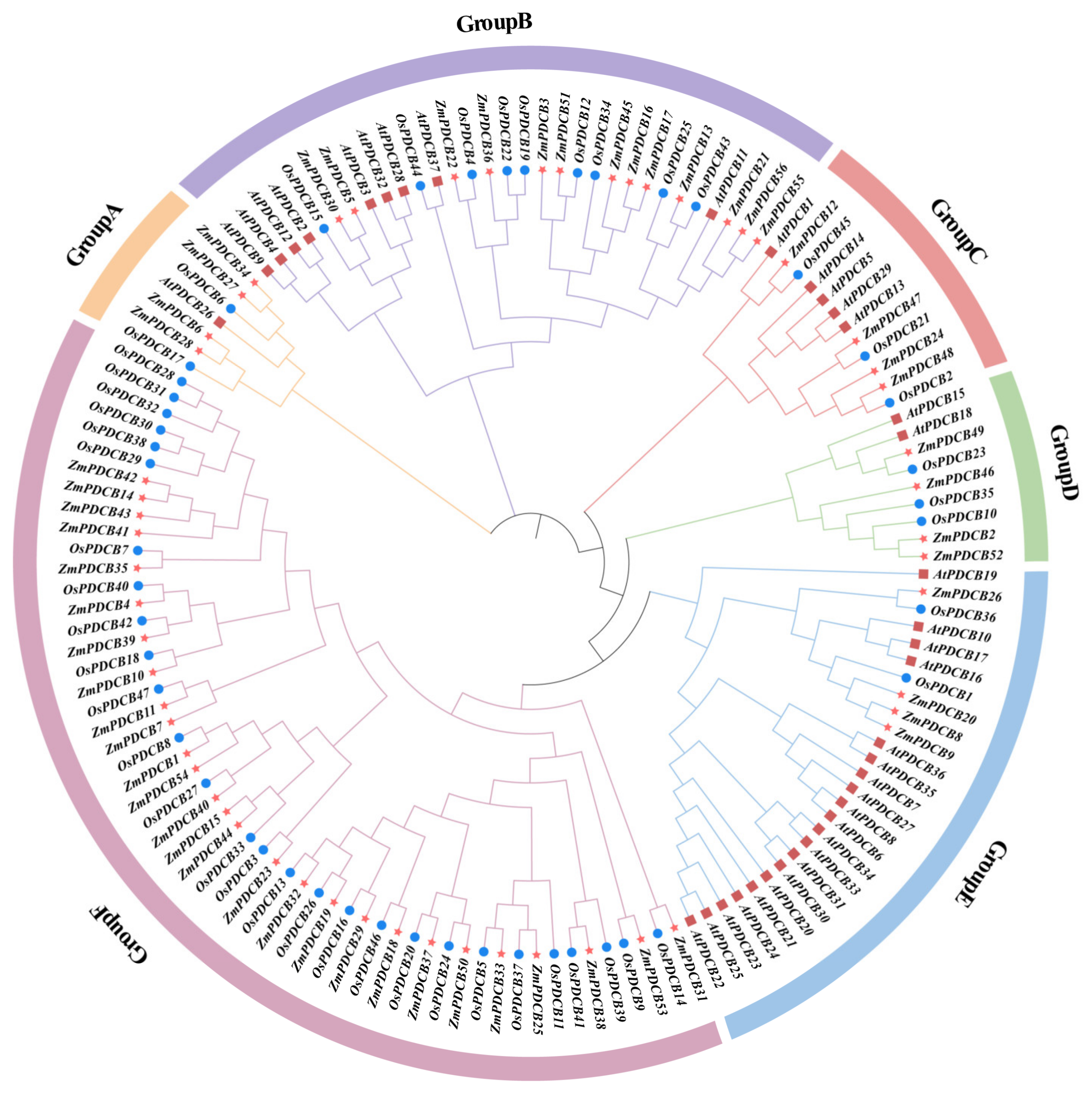Agronomy 14 01858 g001