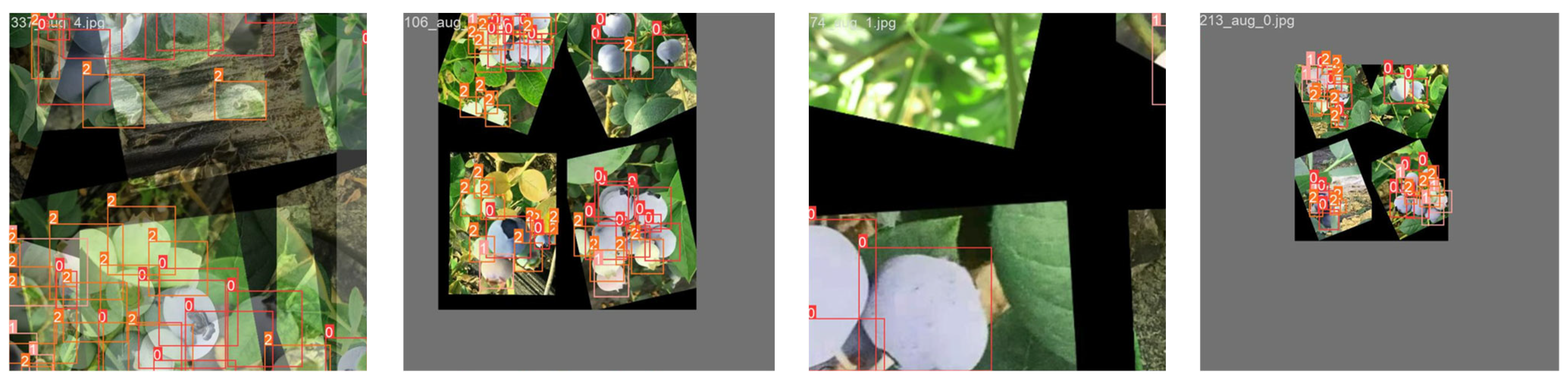 Agronomy 14 01860 g002