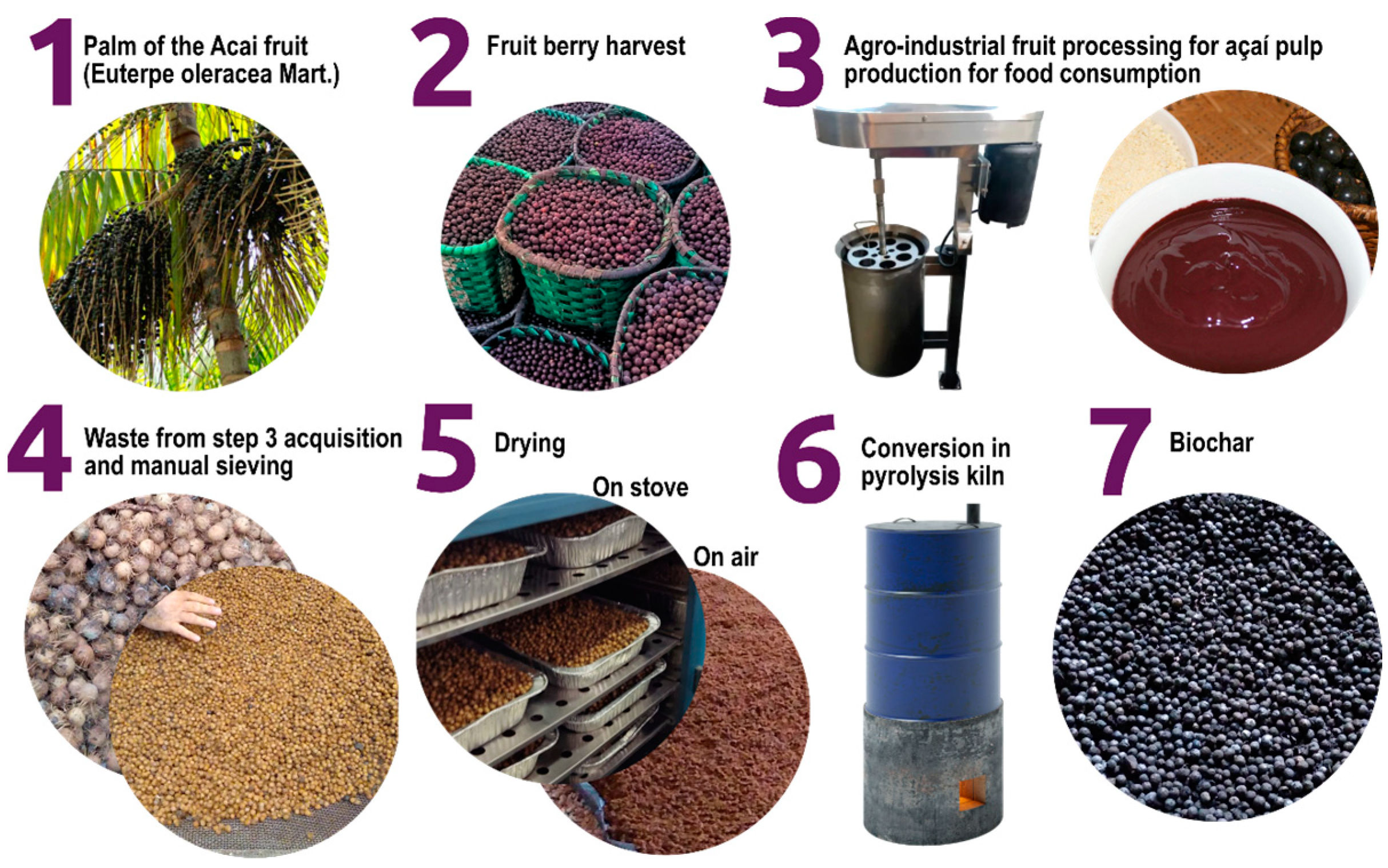 Agronomy 14 01861 g001