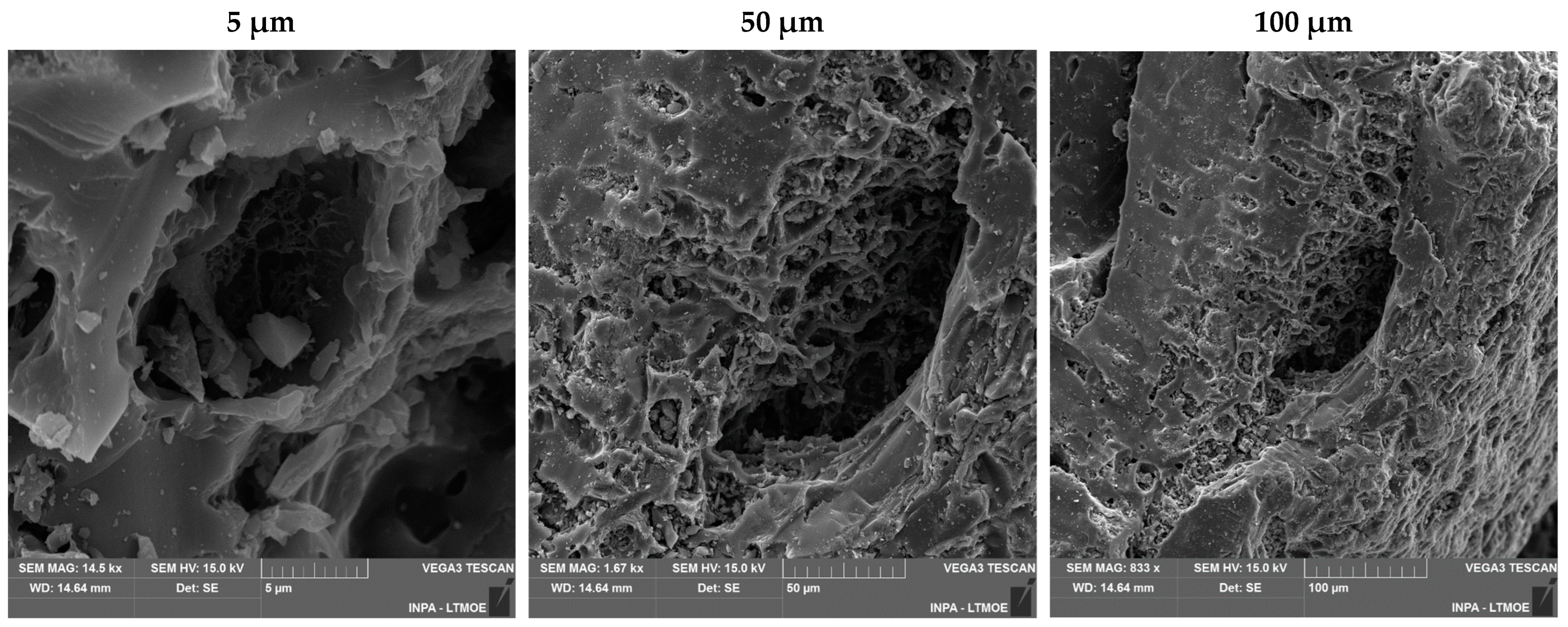 Agronomy 14 01861 g004