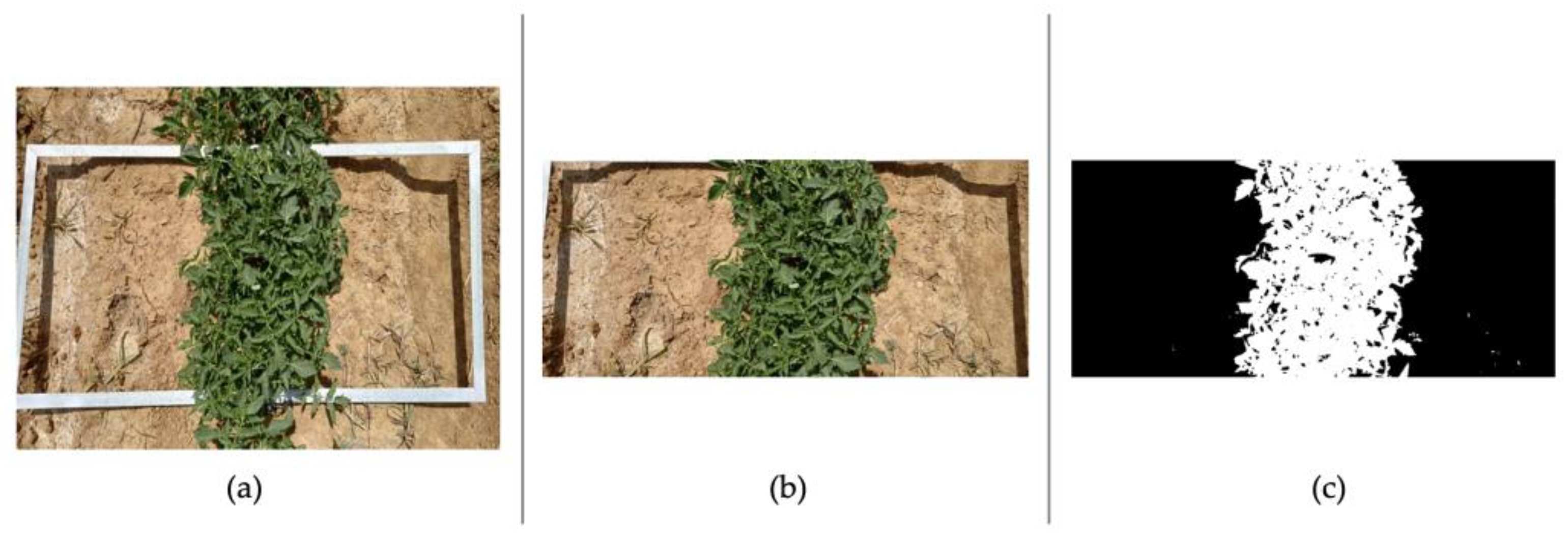 Agronomy 14 01863 g001