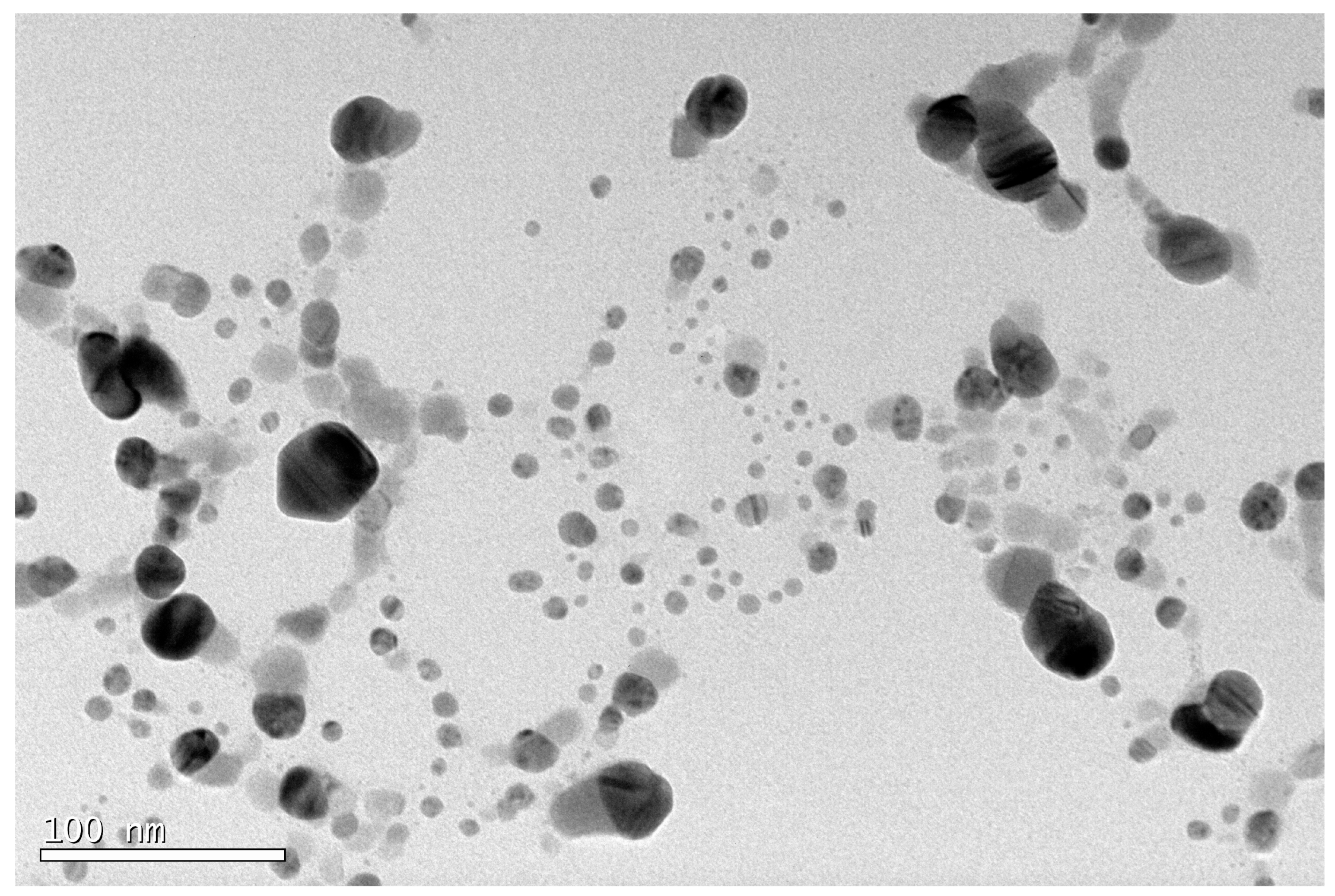 Agronomy 14 01866 g002