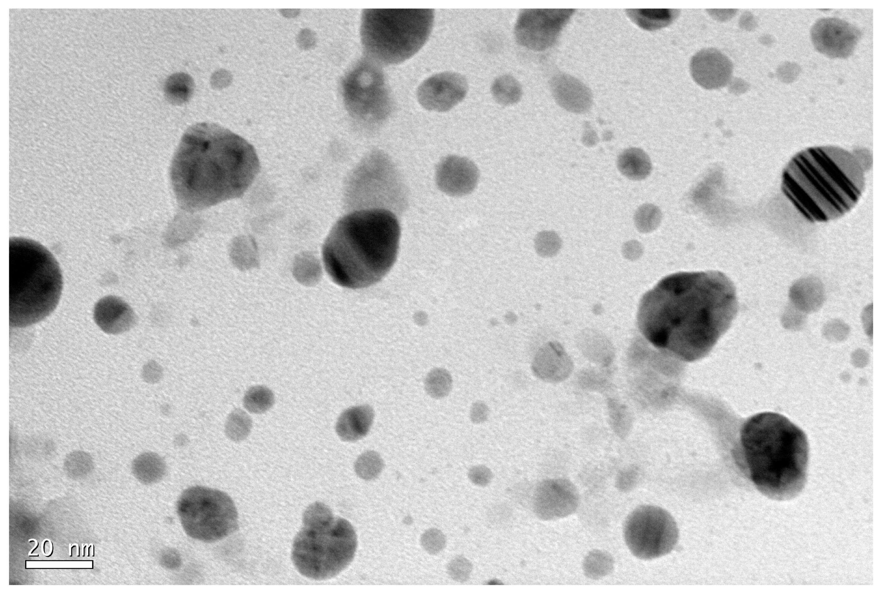 Agronomy 14 01866 g003