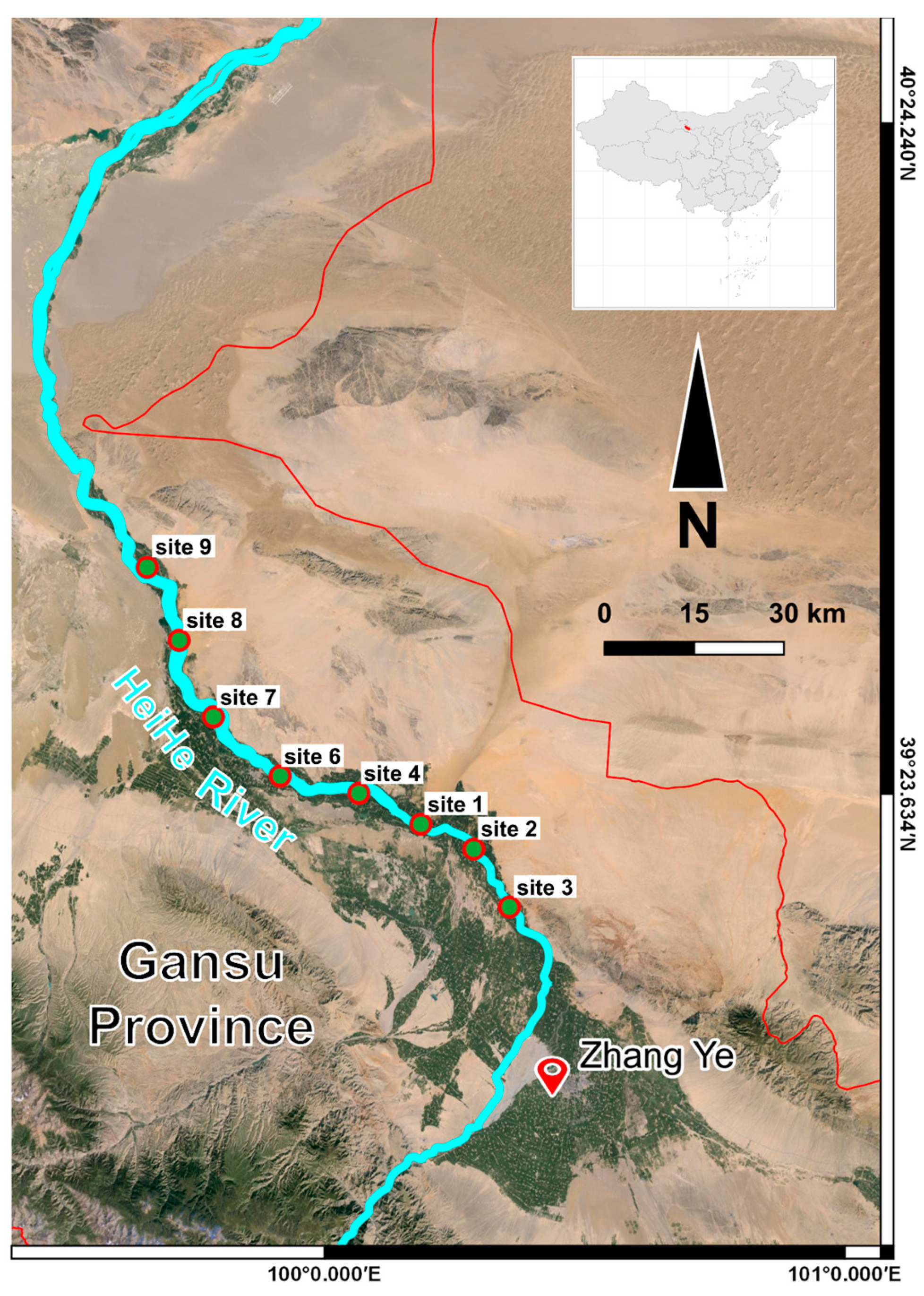 Agronomy 14 01868 g001