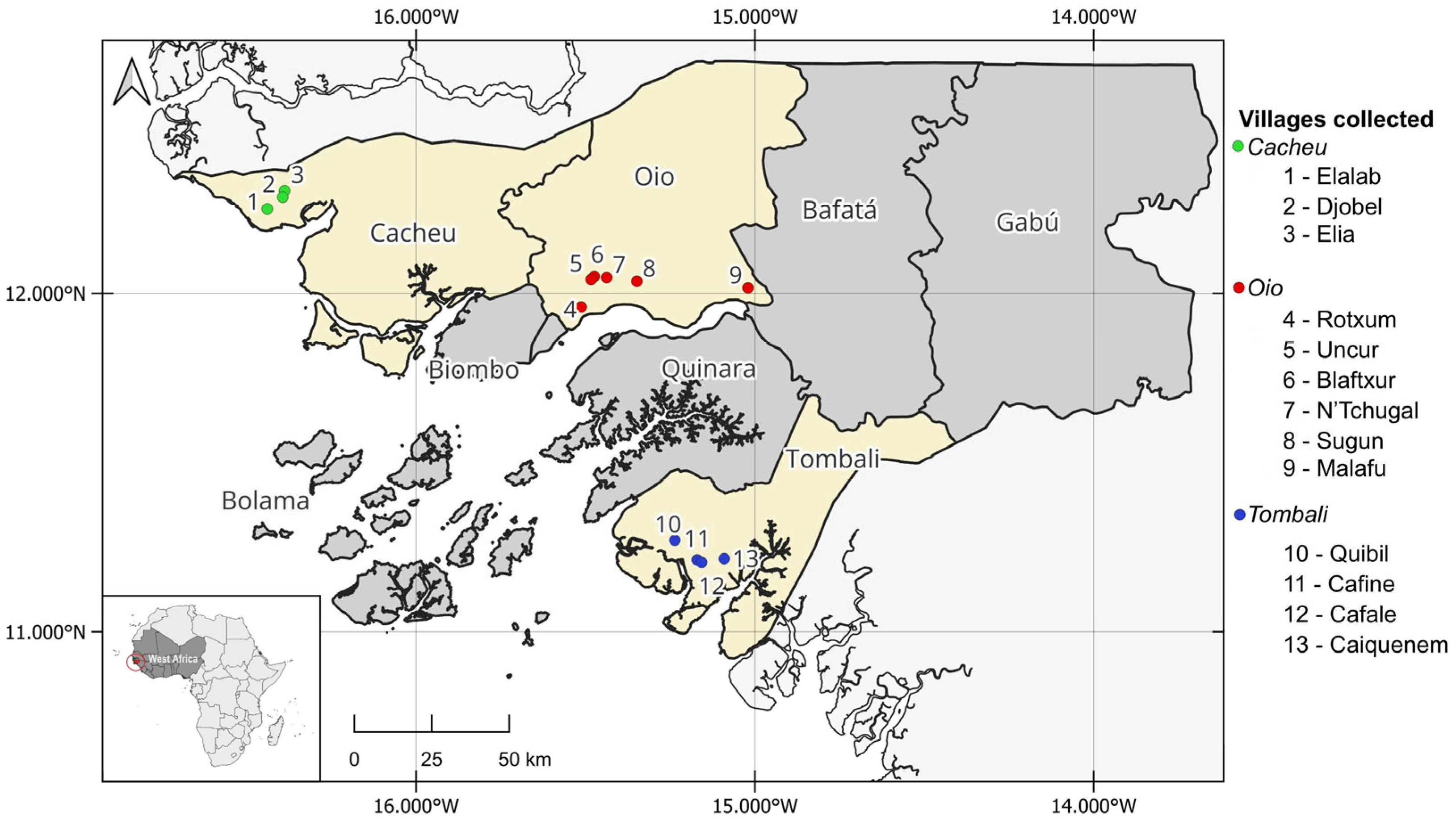 Agronomy 14 01870 g001 Agronomy 14 01870 g001