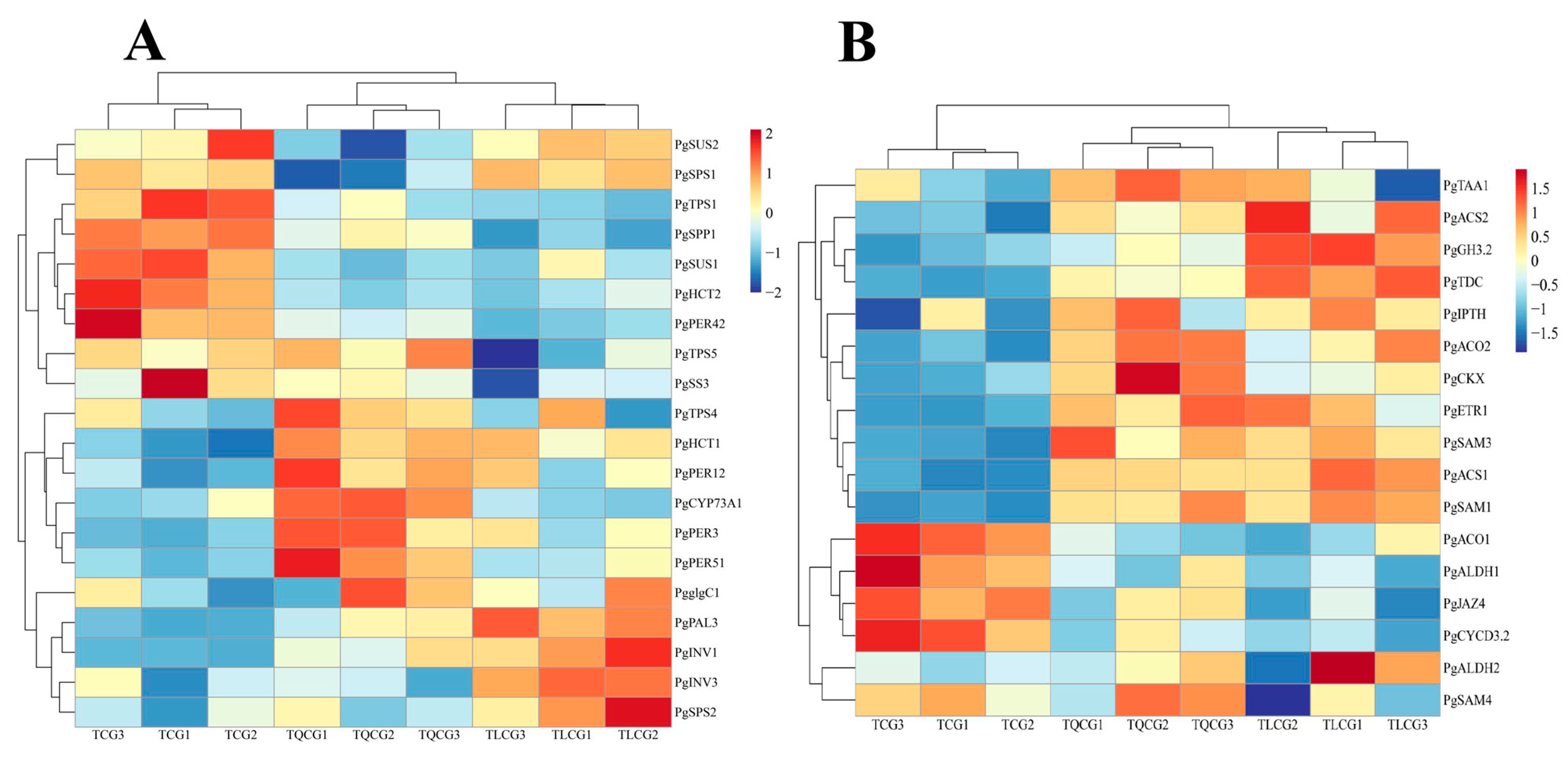 Agronomy 14 01897 g007