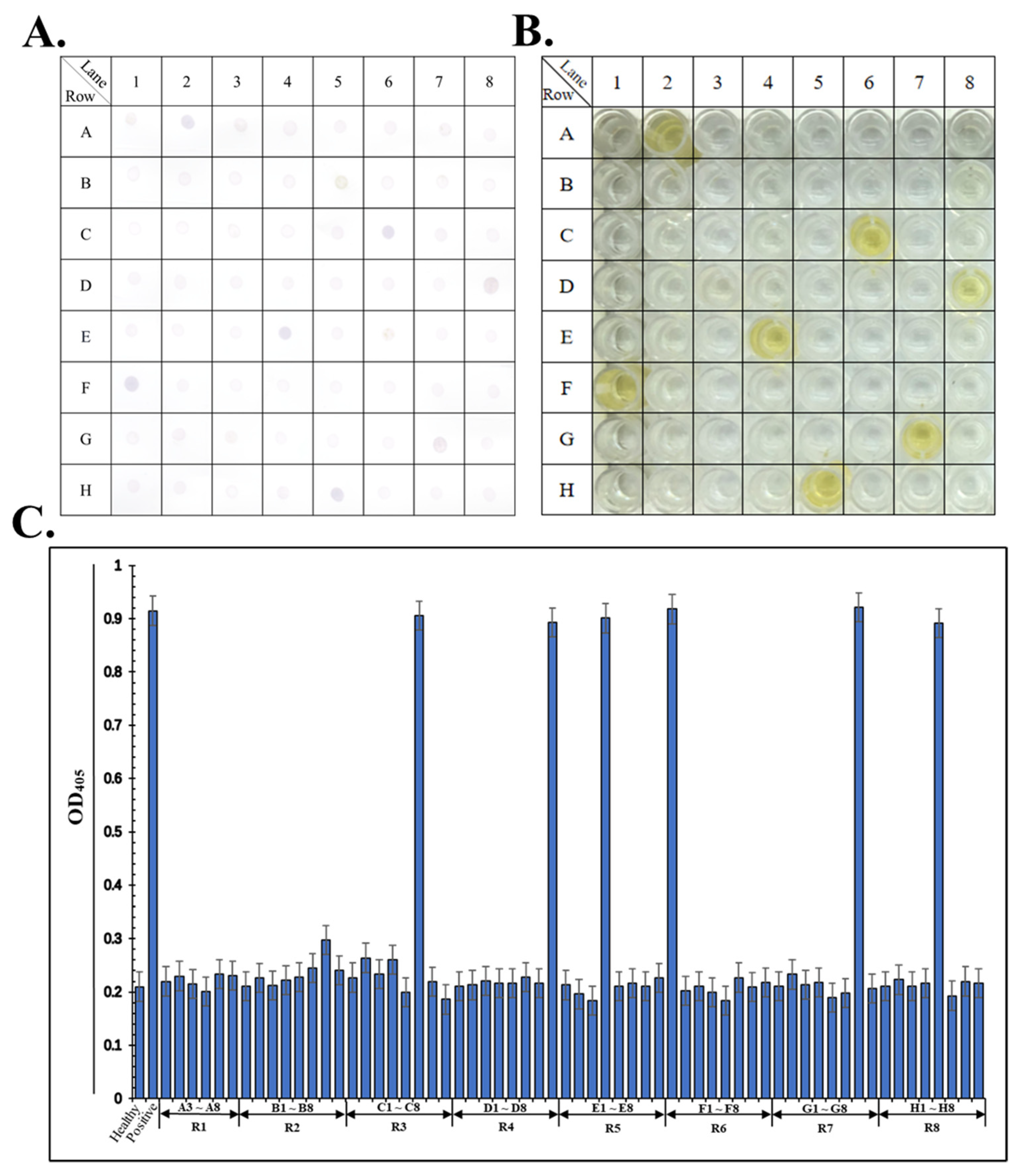 Agronomy 14 01900 g005