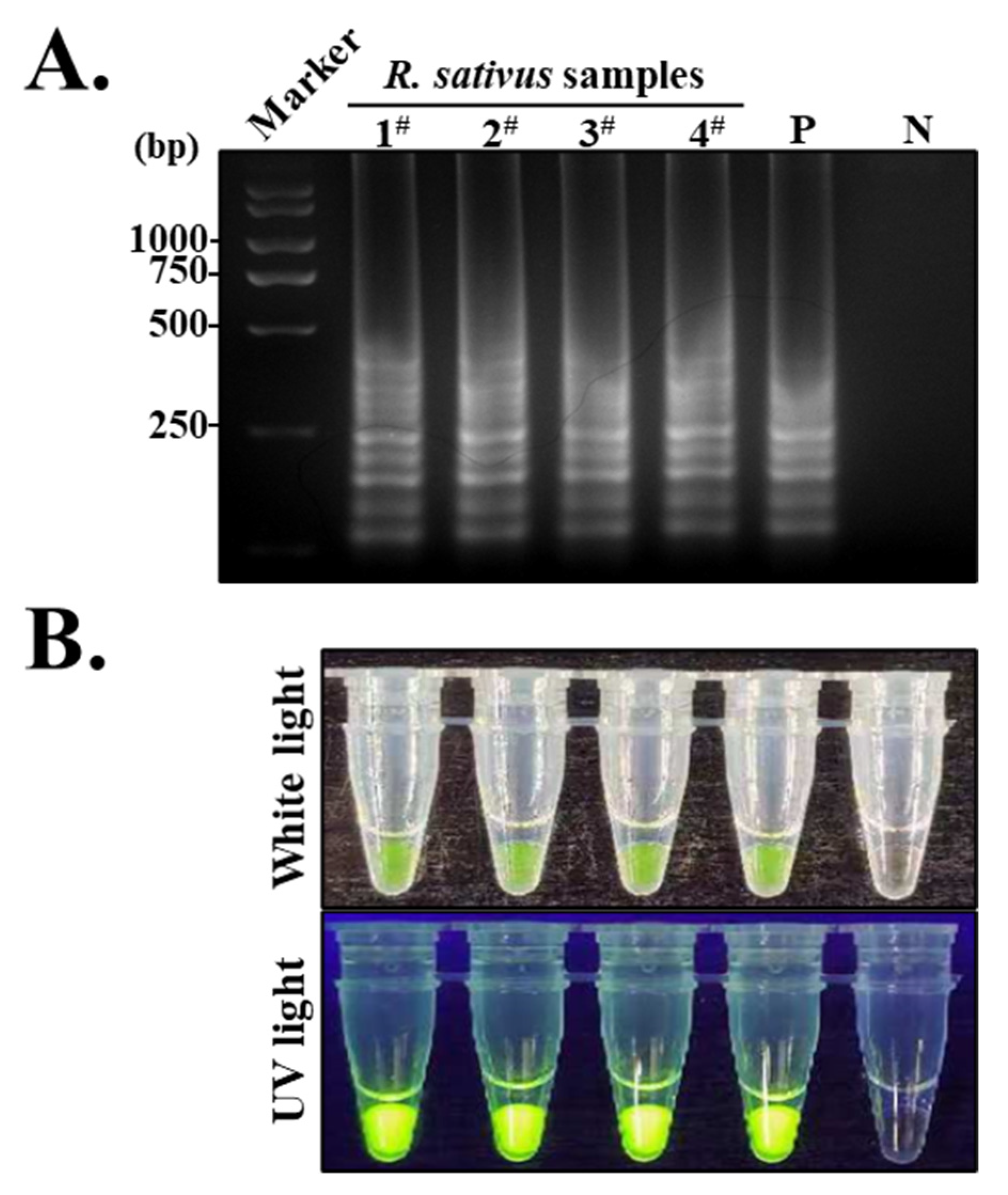 Agronomy 14 01900 g006