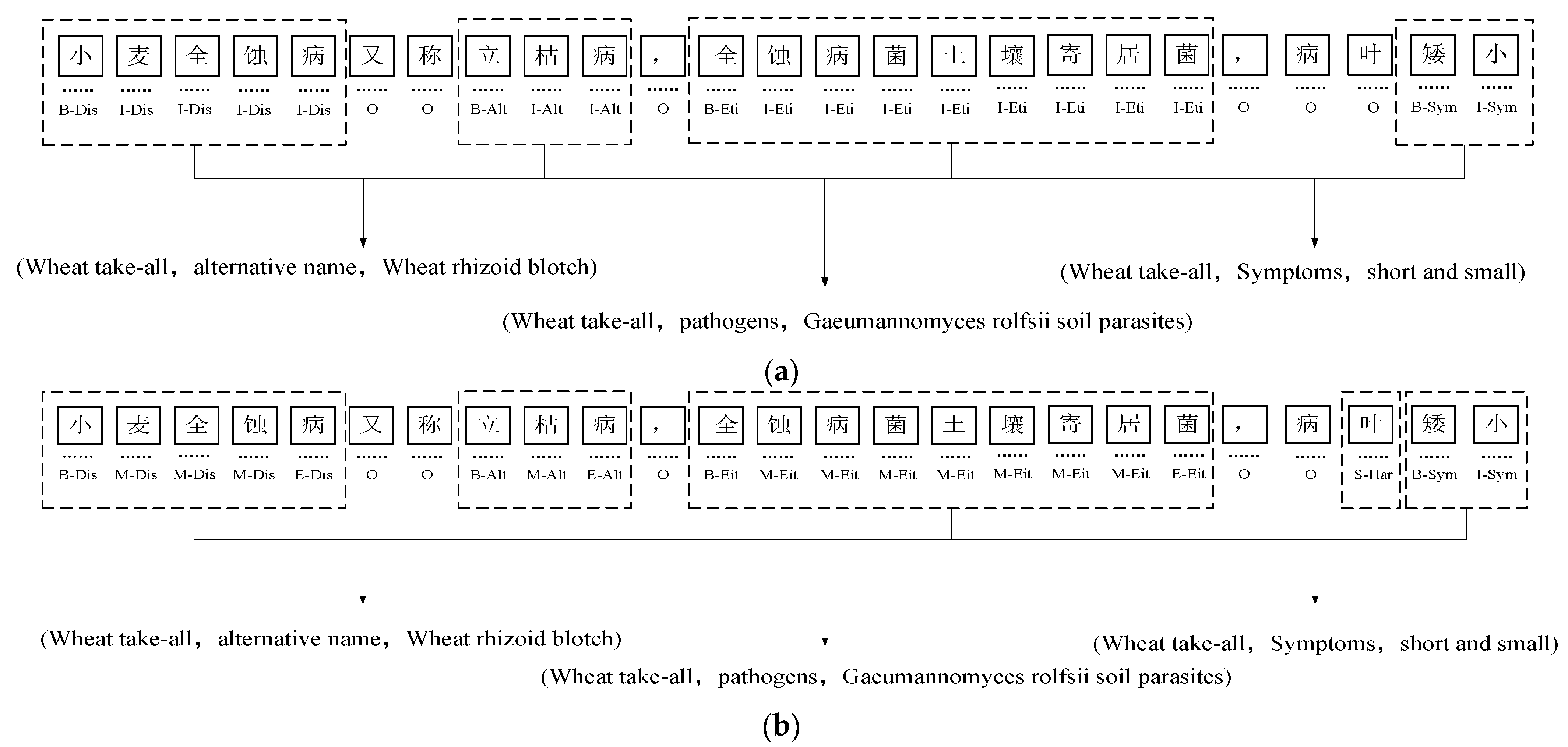 Agronomy 14 01903 g006a