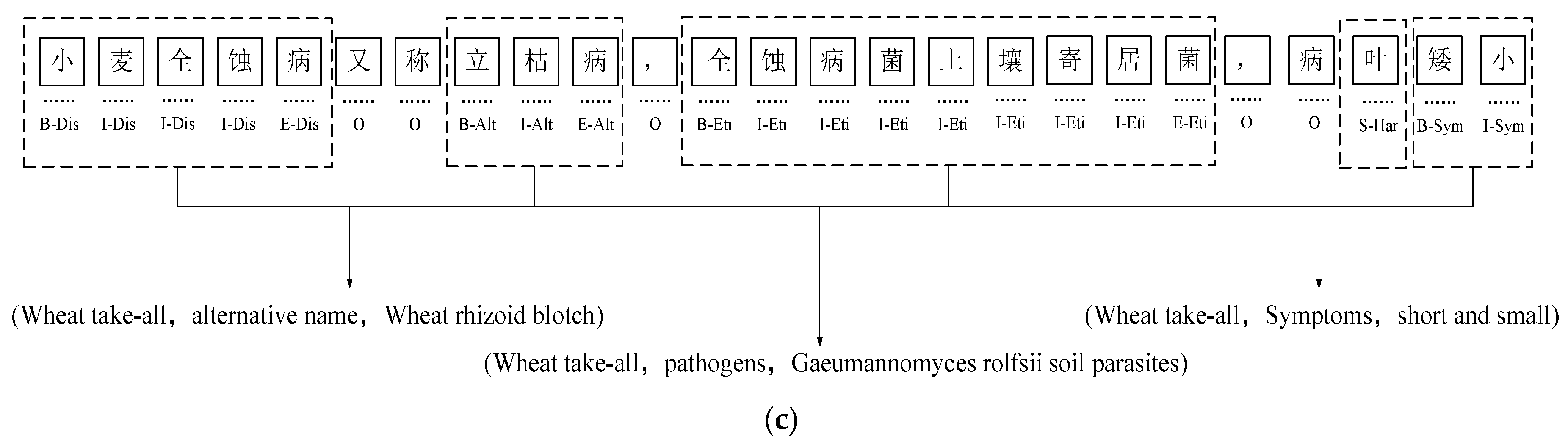 Agronomy 14 01903 g006b
