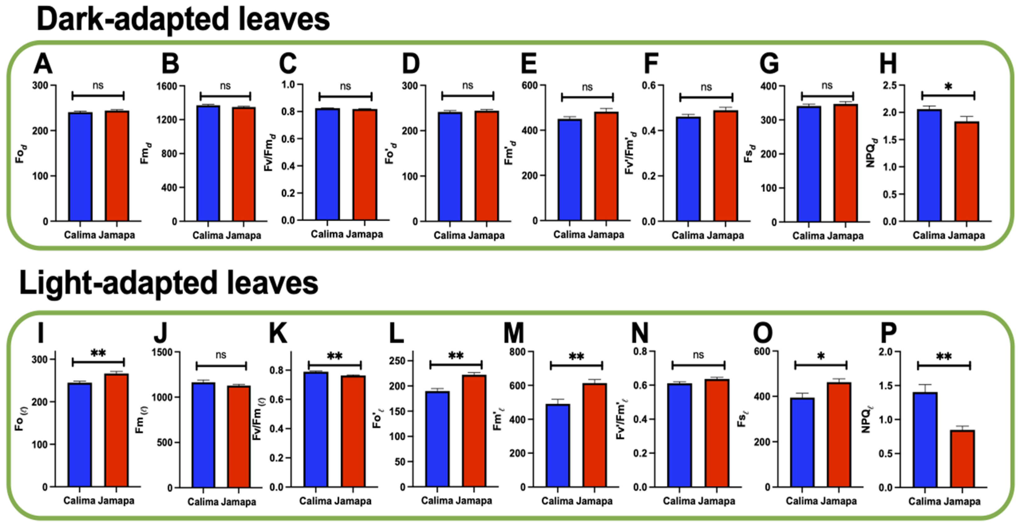 Agronomy 14 01907 g001 Agronomy 14 01907 g001
