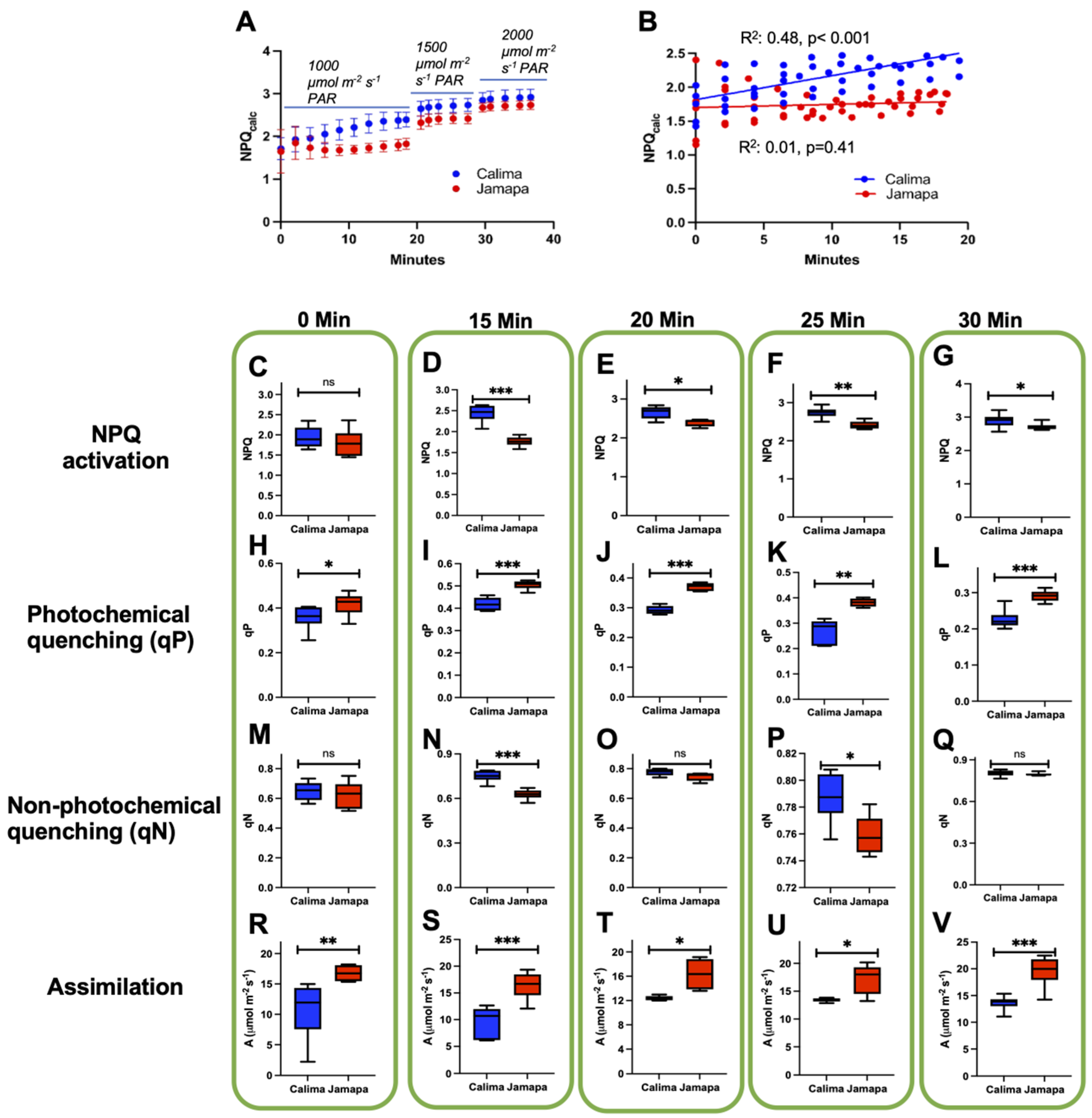 Agronomy 14 01907 g003 Agronomy 14 01907 g003
