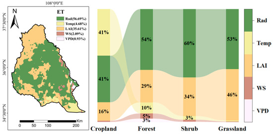Climate Change and Vegetation Greening Jointly Promote the