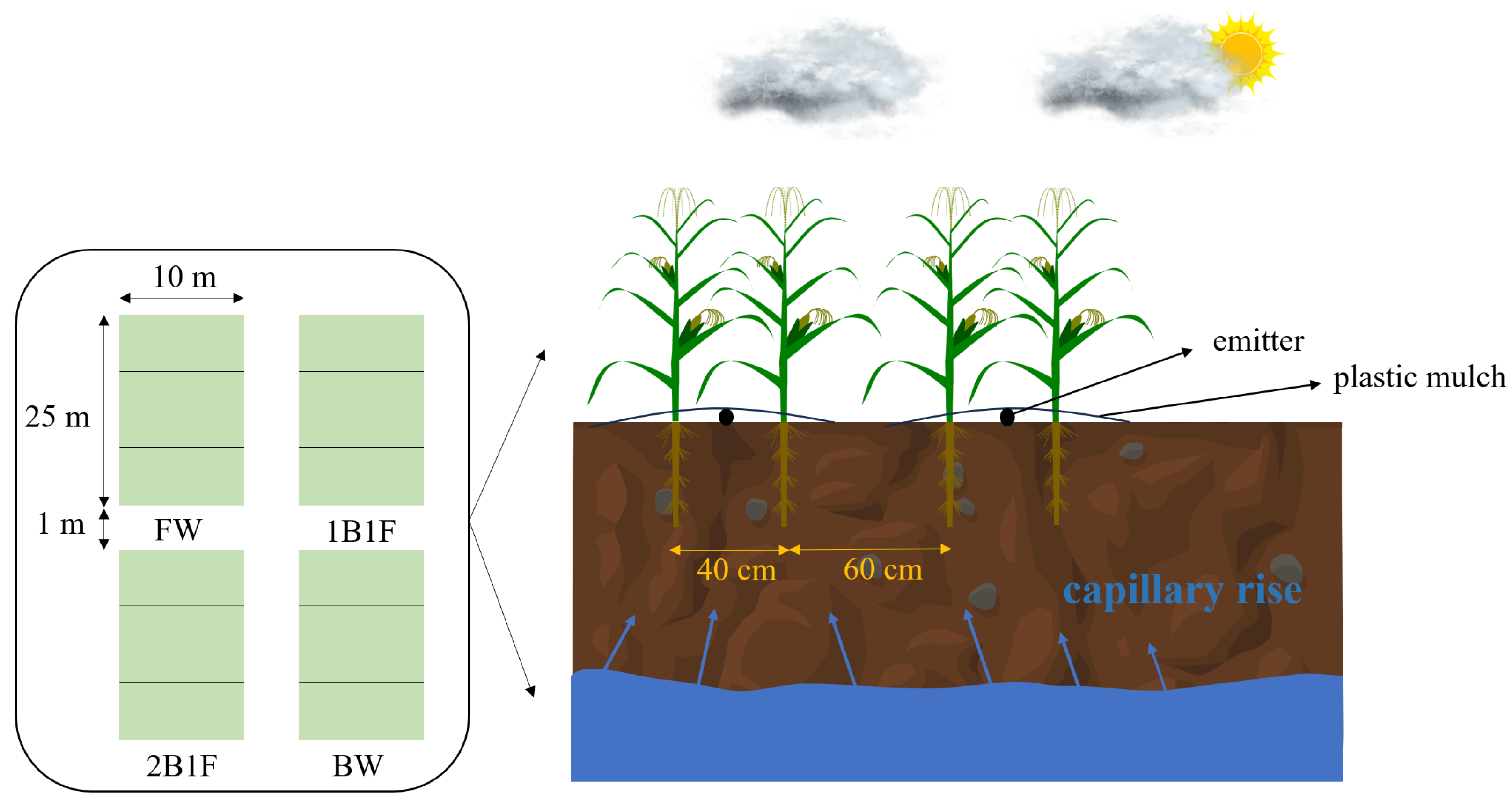 Agronomy 14 01911 g003