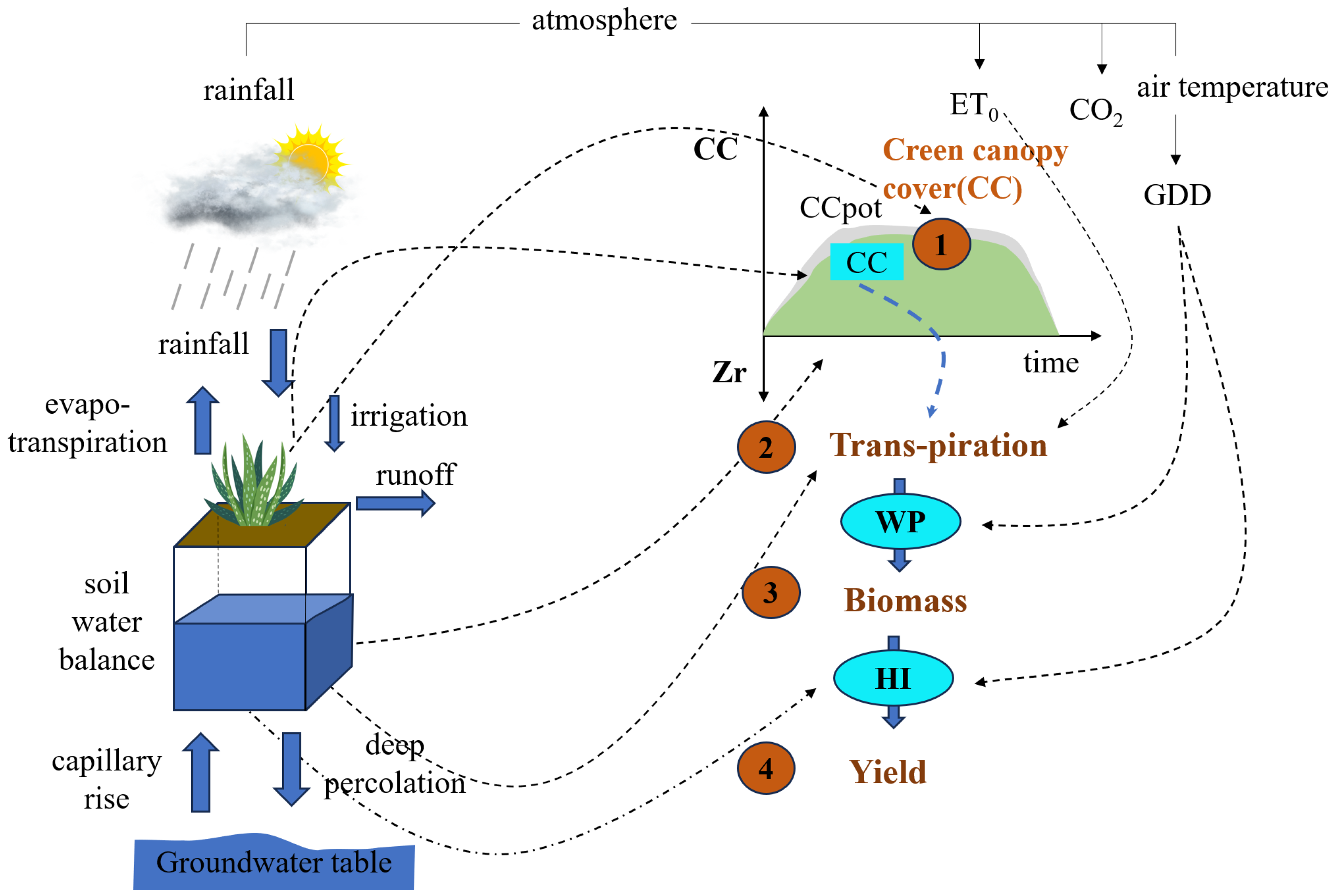 Agronomy 14 01911 g004