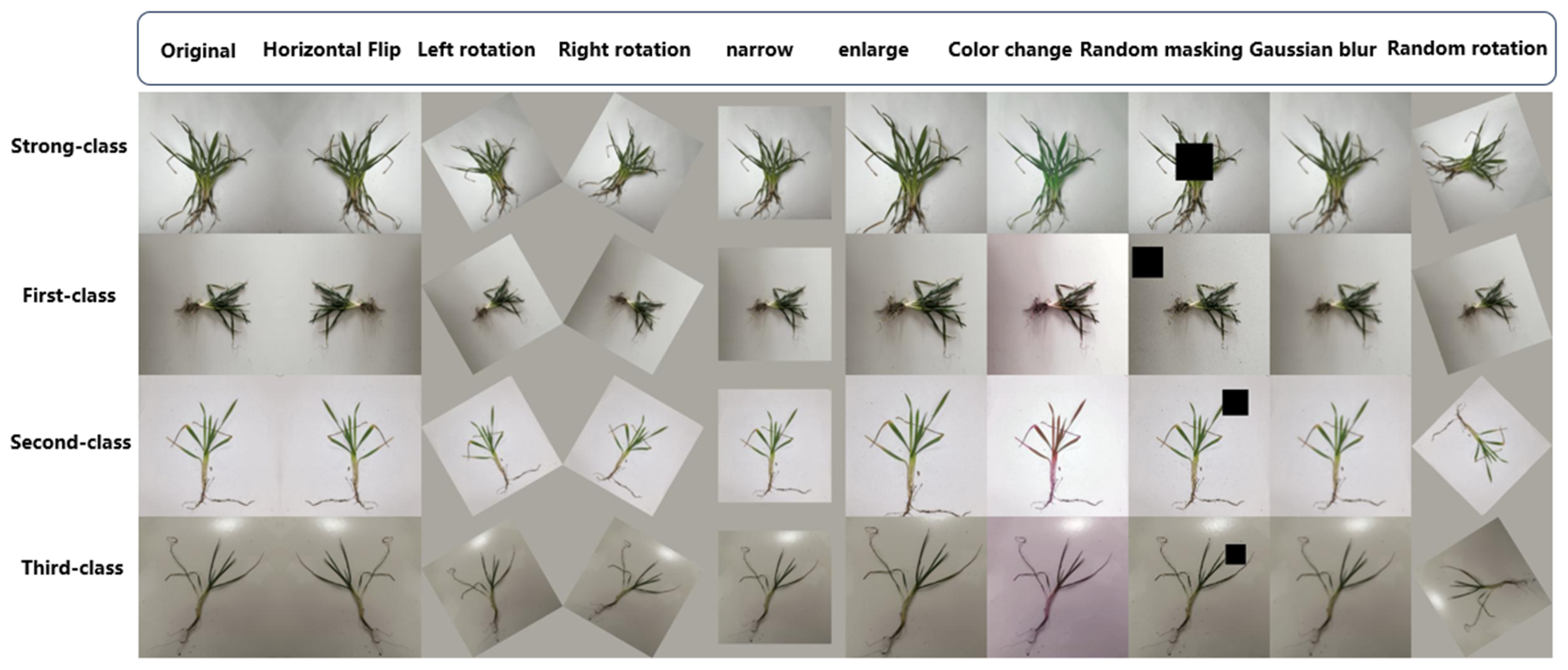 Agronomy 14 01914 g001