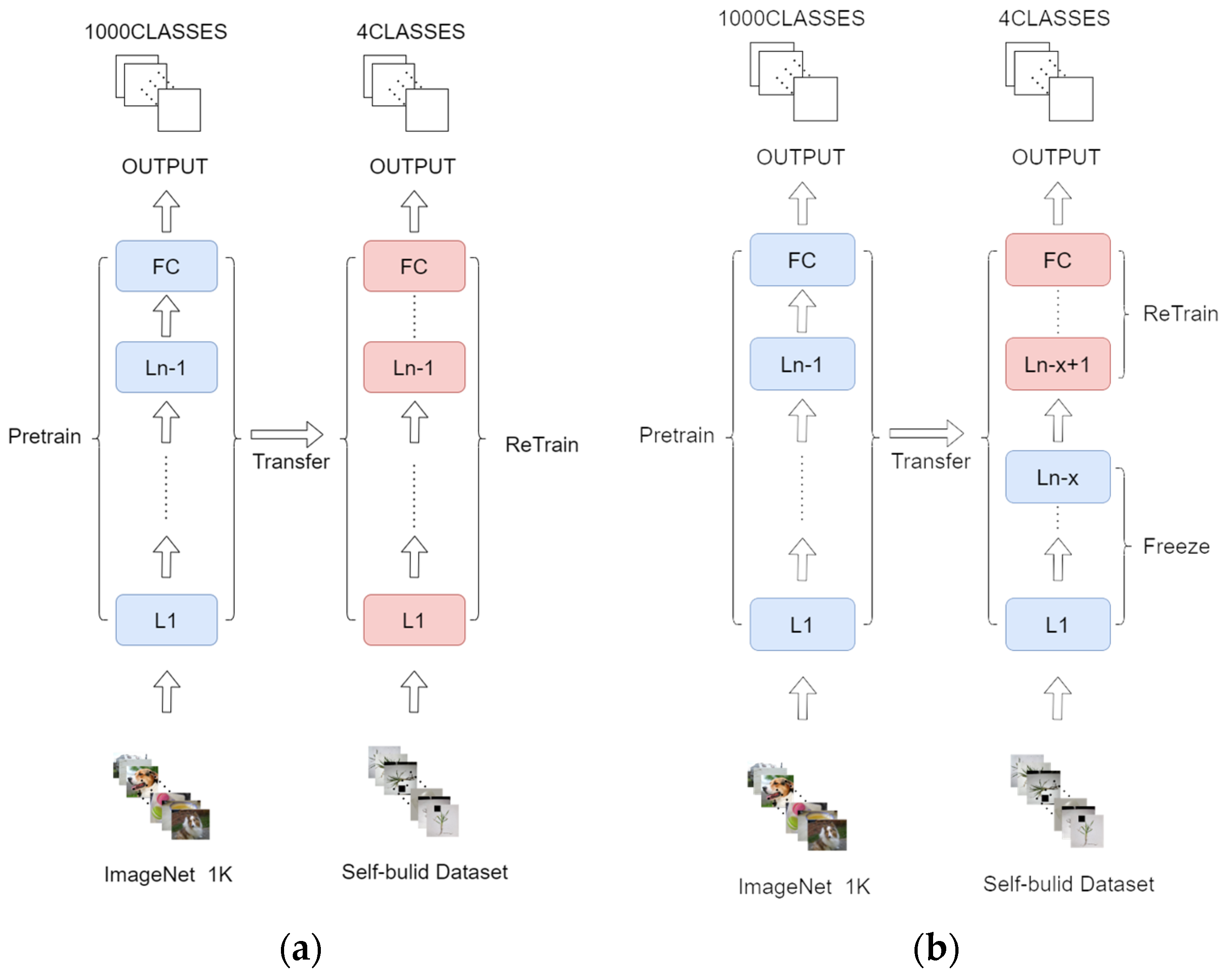 Agronomy 14 01914 g002