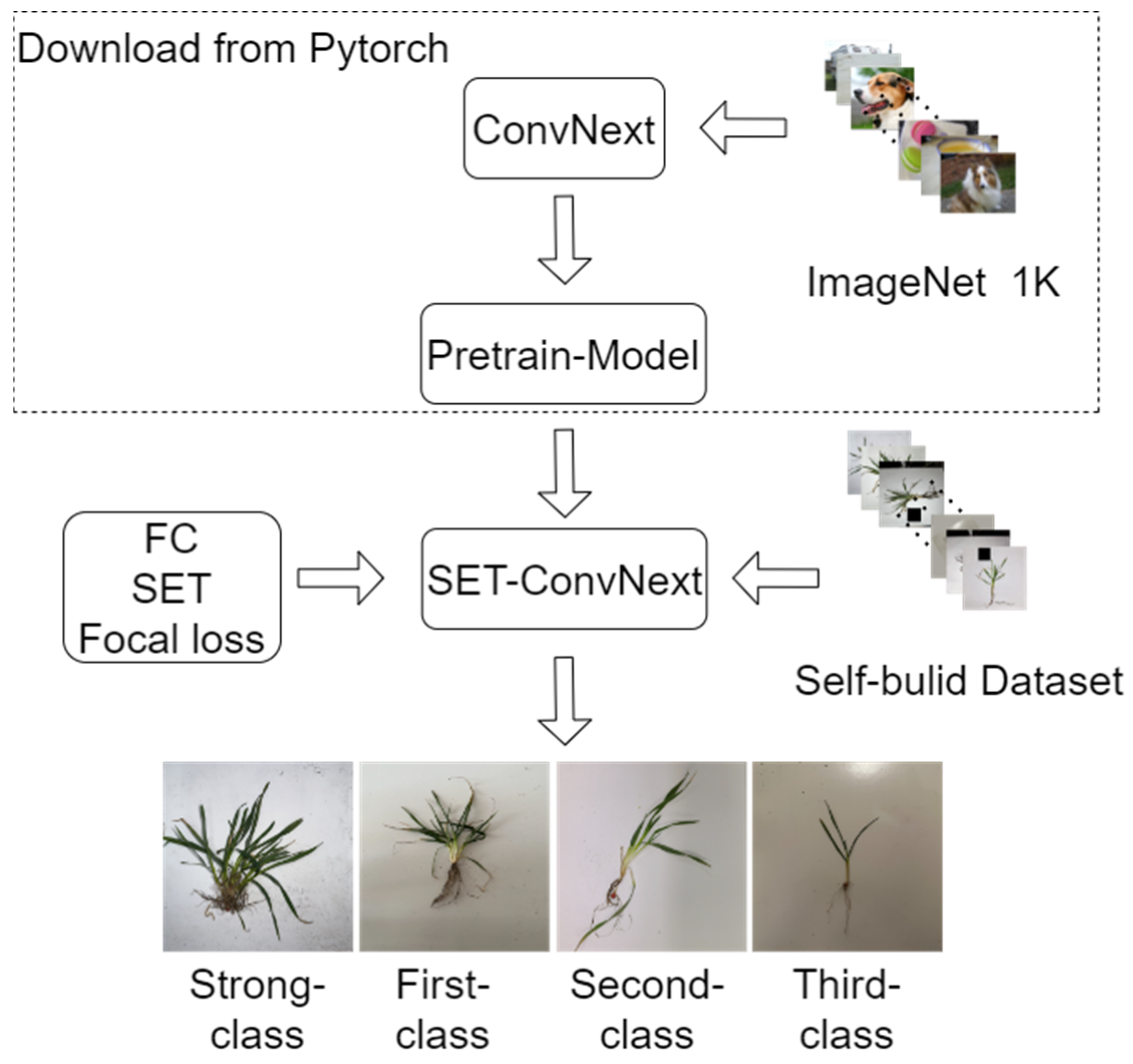 Agronomy 14 01914 g003
