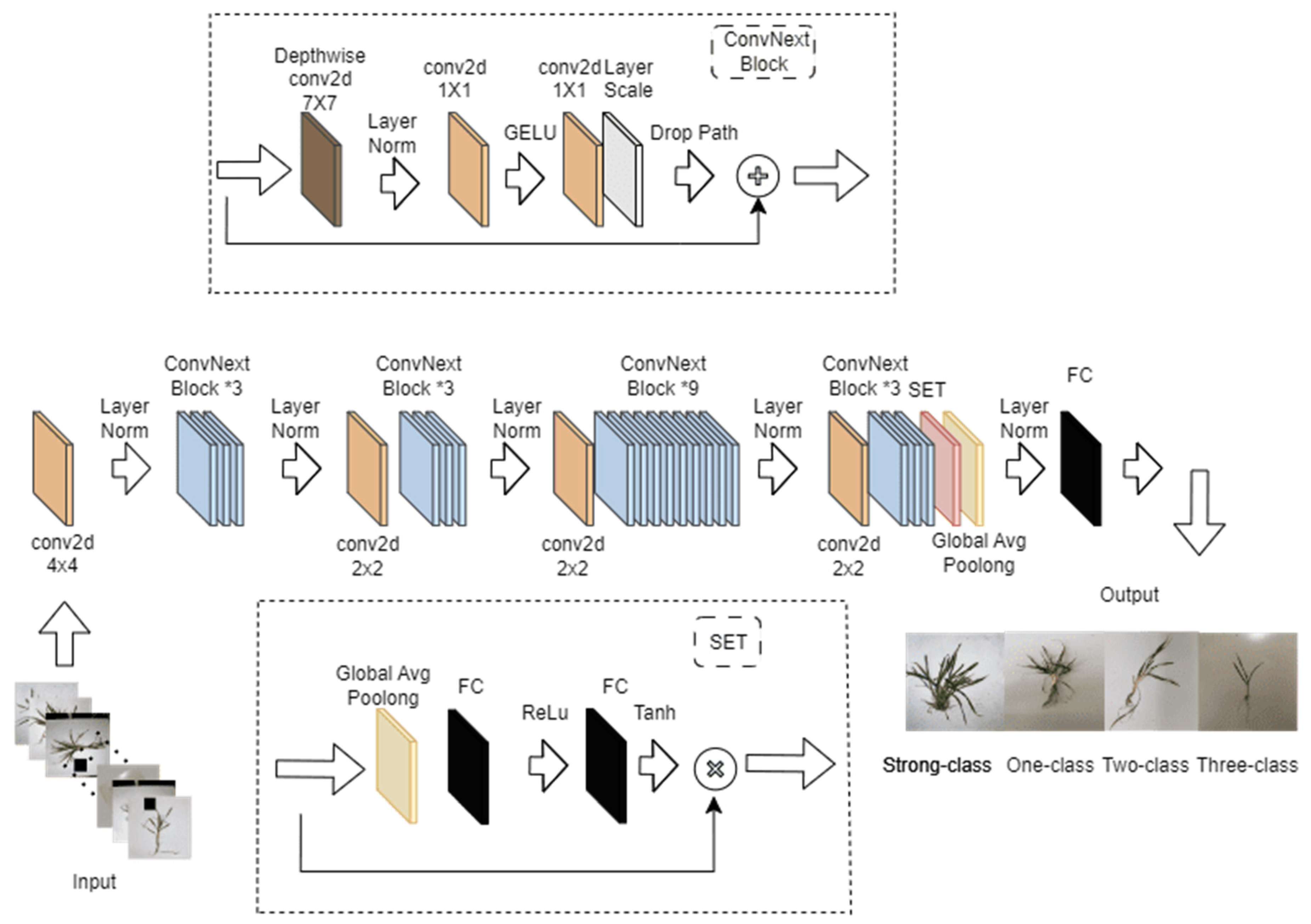Agronomy 14 01914 g004