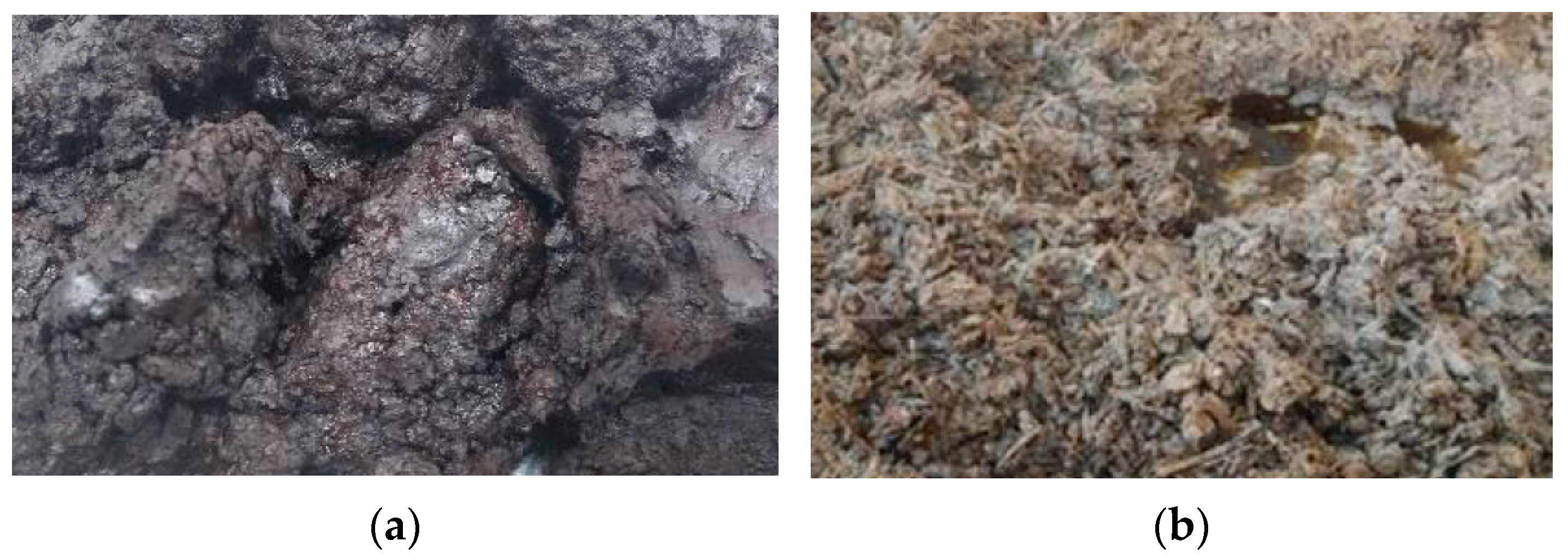 Agronomy 14 01919 g001 Agronomy 14 01919 g001