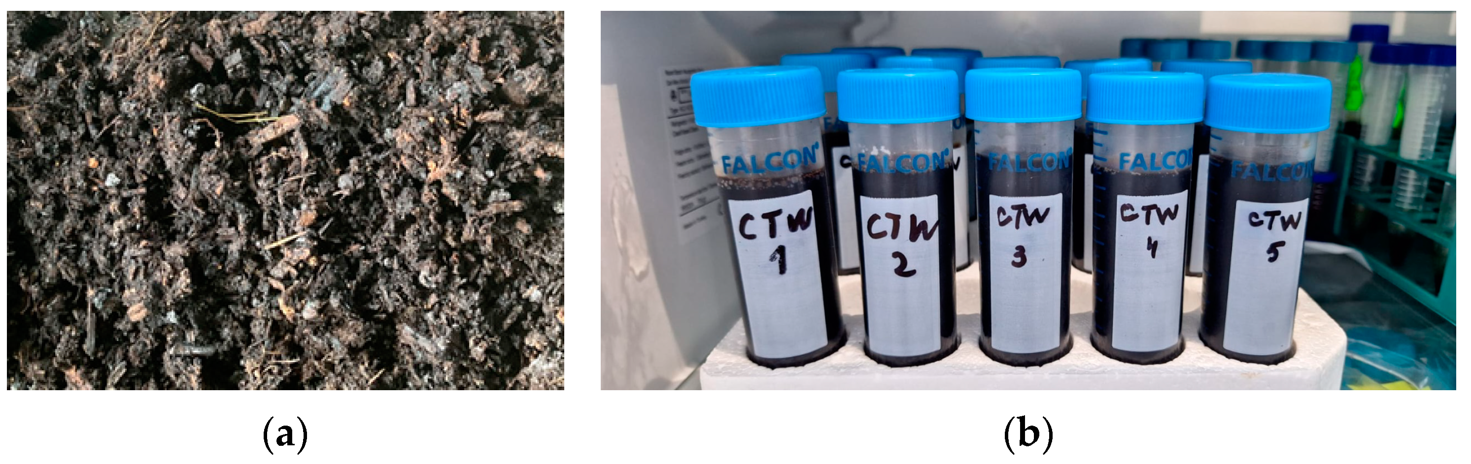 Agronomy 14 01919 g003 Agronomy 14 01919 g003