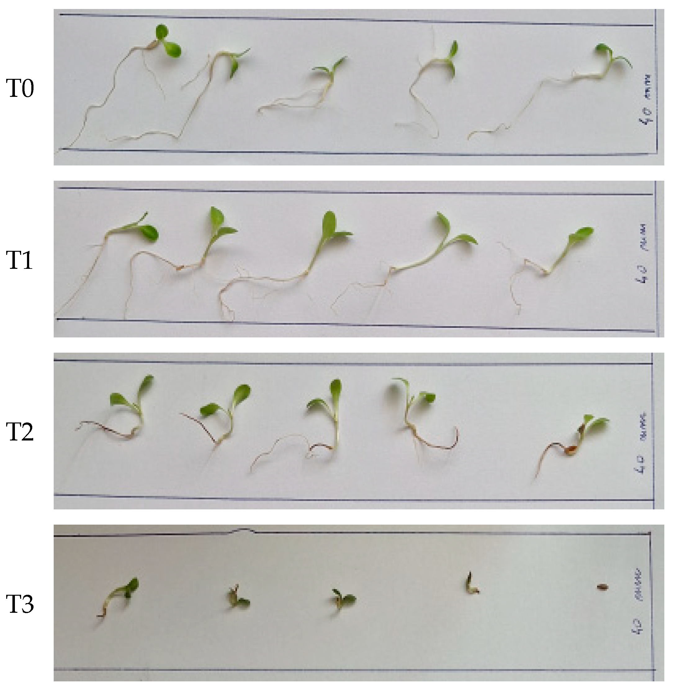 Agronomy 14 01919 g005 Agronomy 14 01919 g005