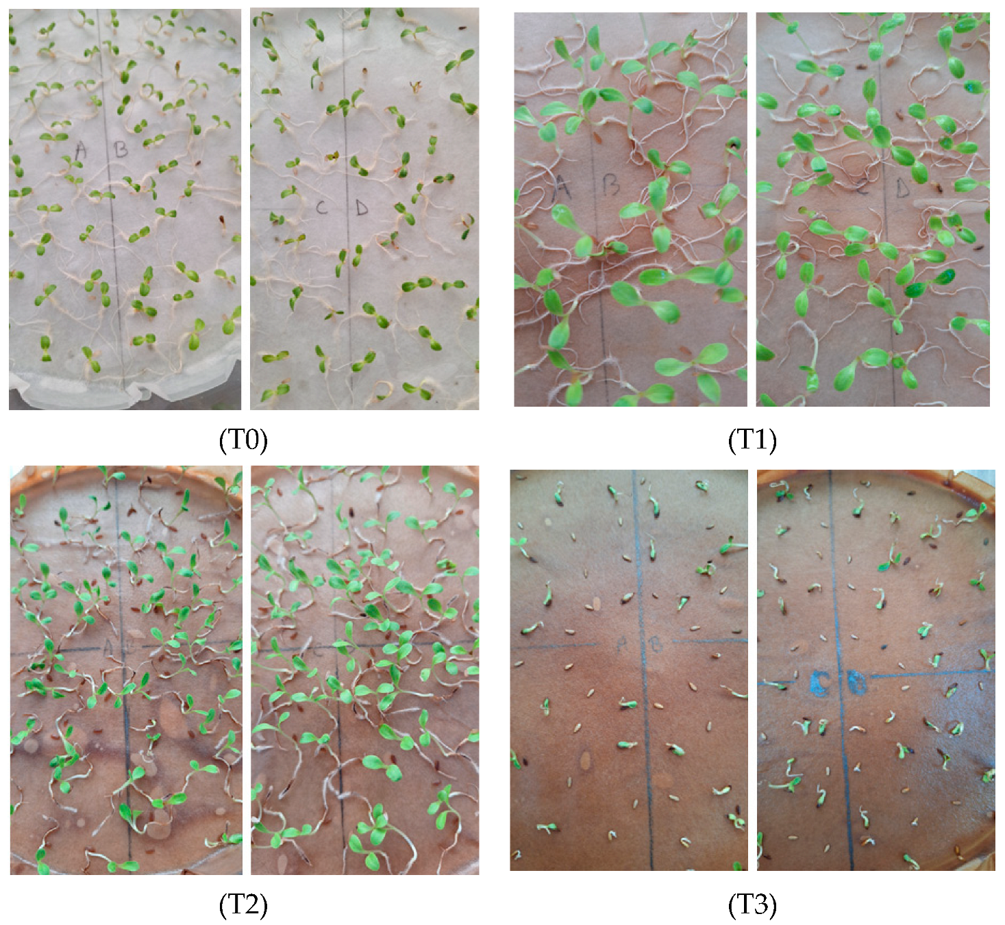 Agronomy 14 01919 g007 Agronomy 14 01919 g007